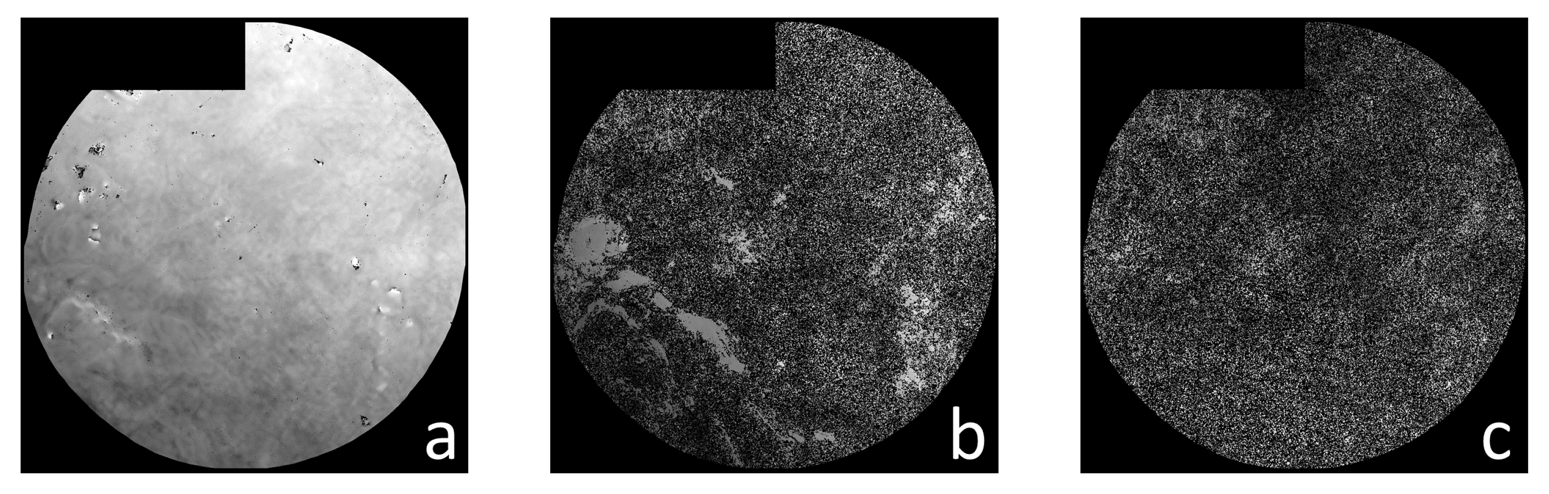 Remotesensing 14 05036 g002 Remotesensing 14 05036 g002