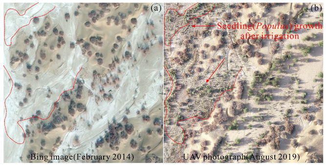 Remotesensing 14 05050 g012 Remotesensing 14 05050 g012