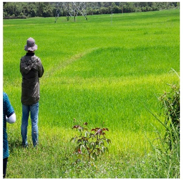 Remotesensing 14 05053 i001