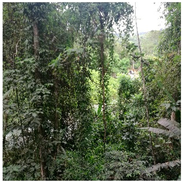 Remotesensing 14 05053 i003