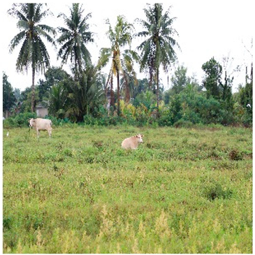 Remotesensing 14 05053 i005