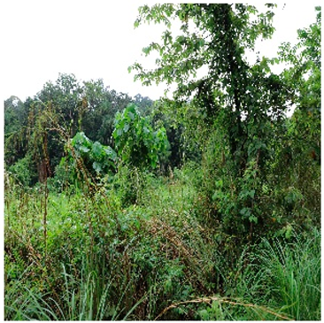 Remotesensing 14 05053 i007