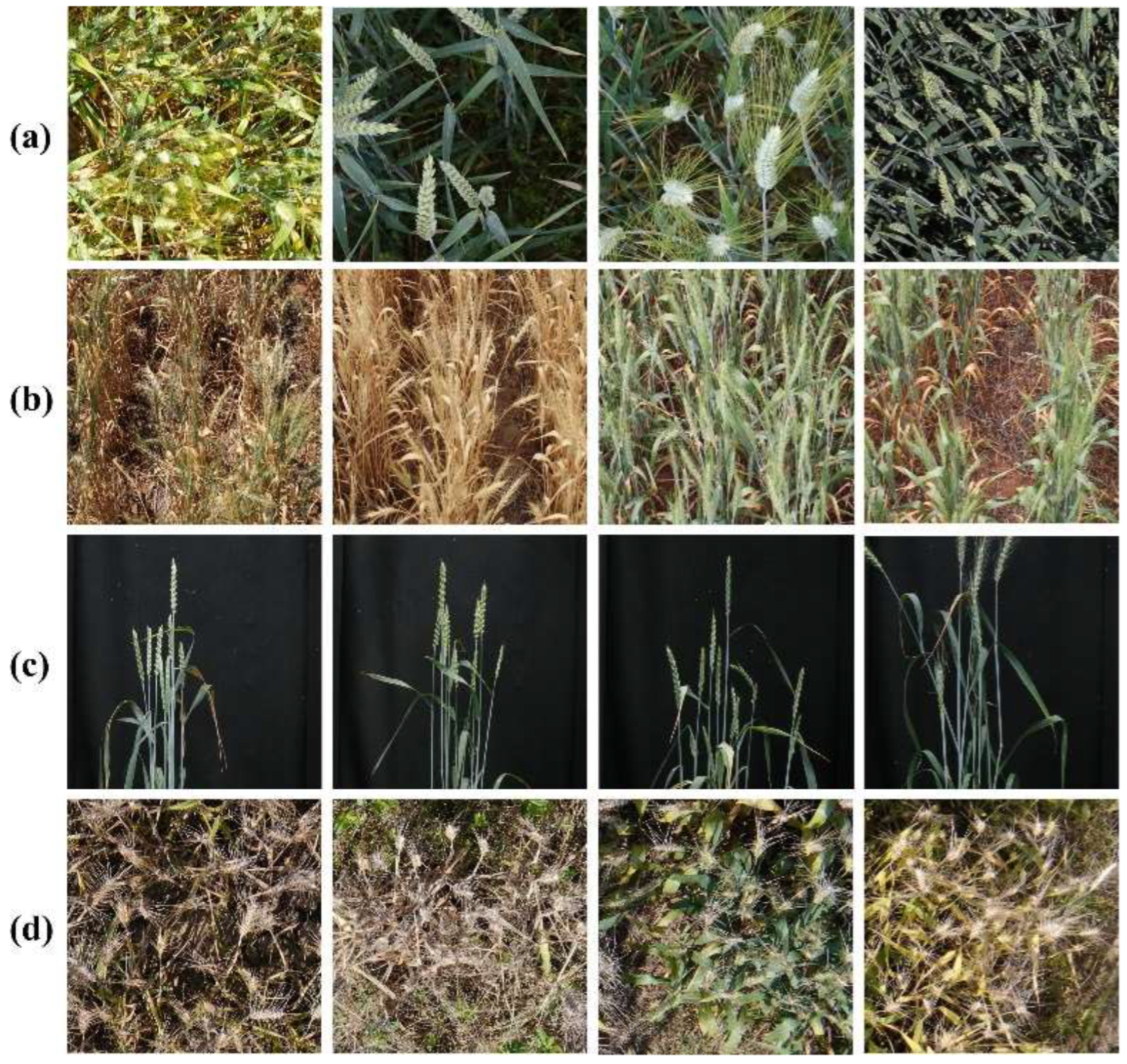 Remotesensing 14 05141 g003