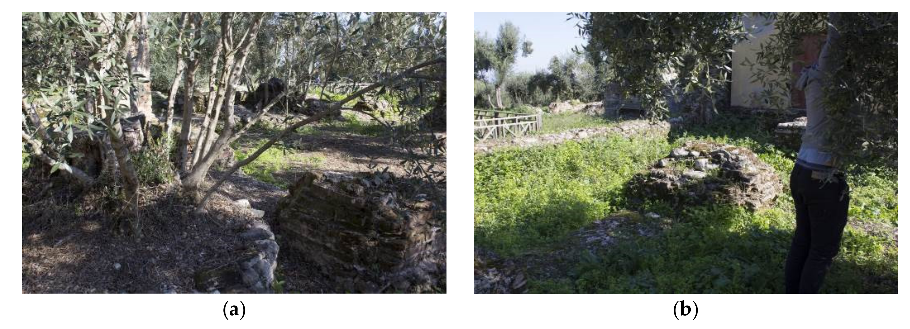 Remotesensing 14 05152 g003 Remotesensing 14 05152 g003