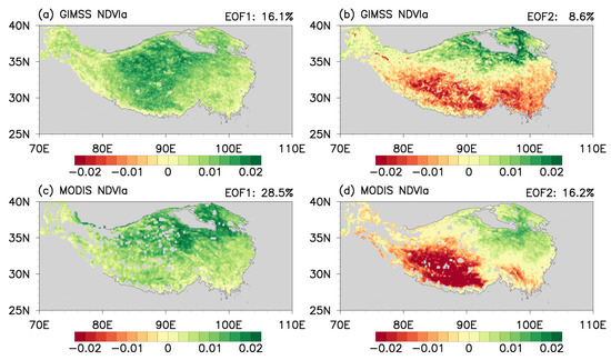 Facies Changes, Evolution of Biogenic Structures, and Carbon