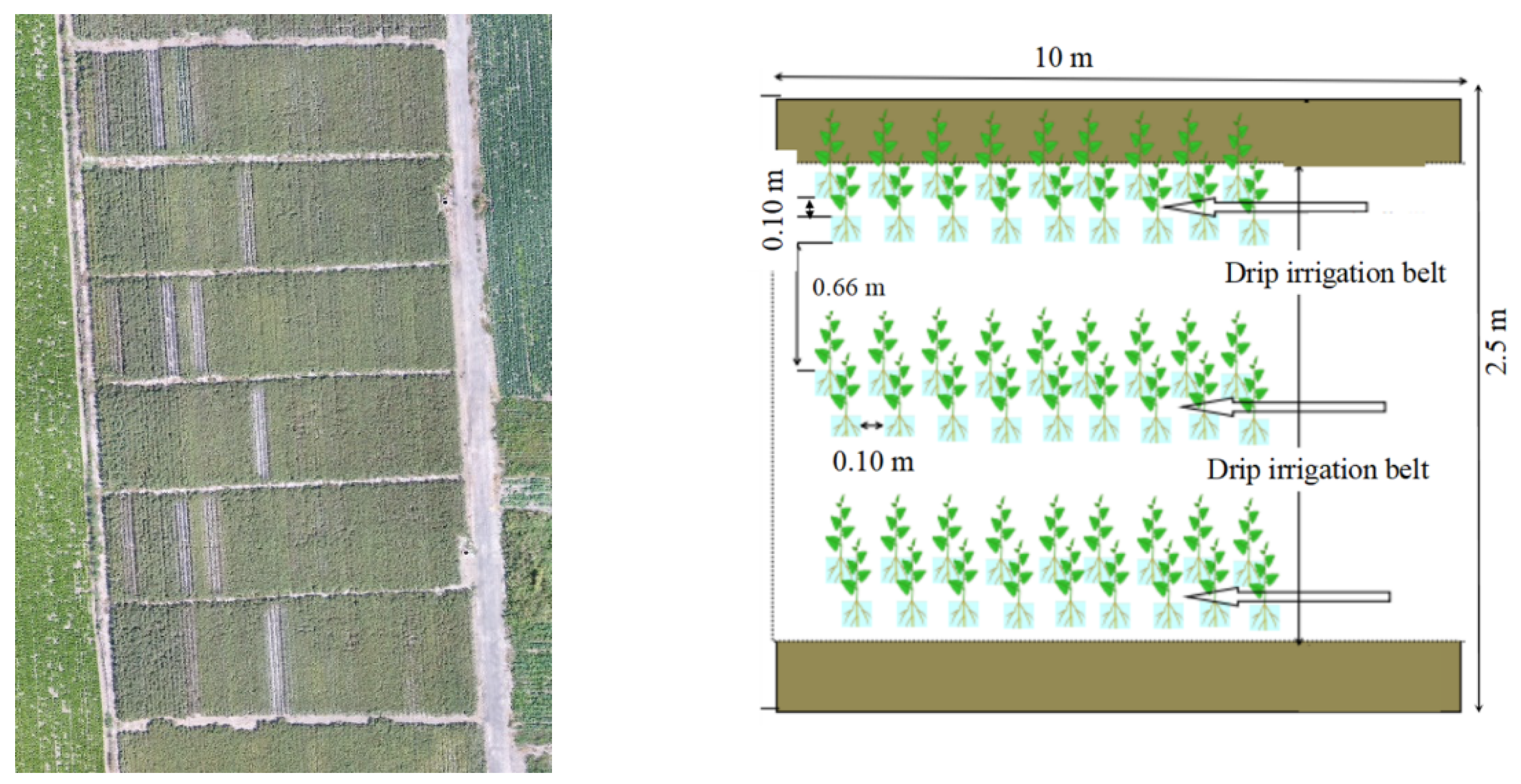 Remotesensing 14 05201 g001 Remotesensing 14 05201 g001