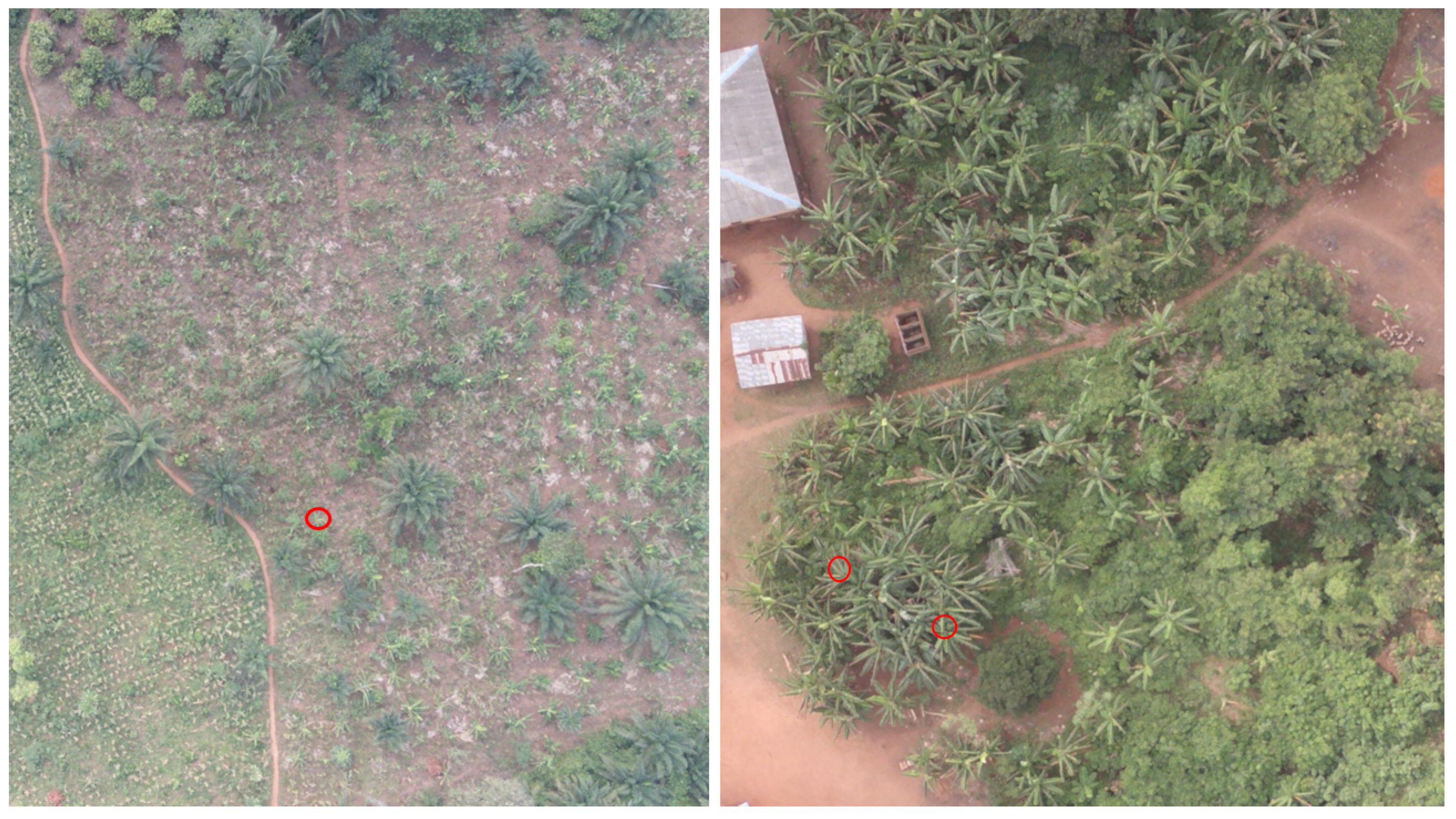 Remotesensing 14 05206 g008 Remotesensing 14 05206 g008