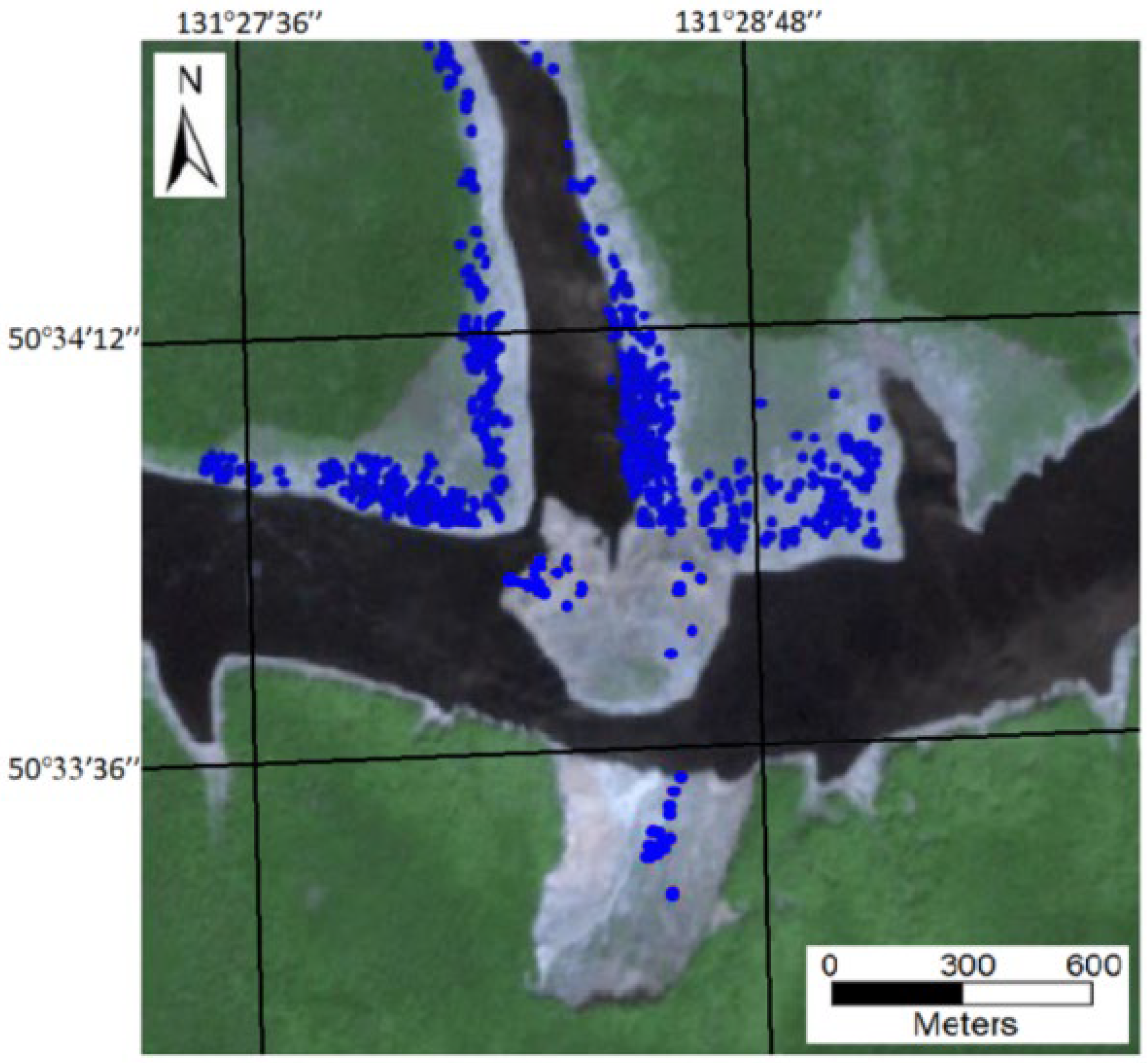 Remotesensing 14 05218 g006