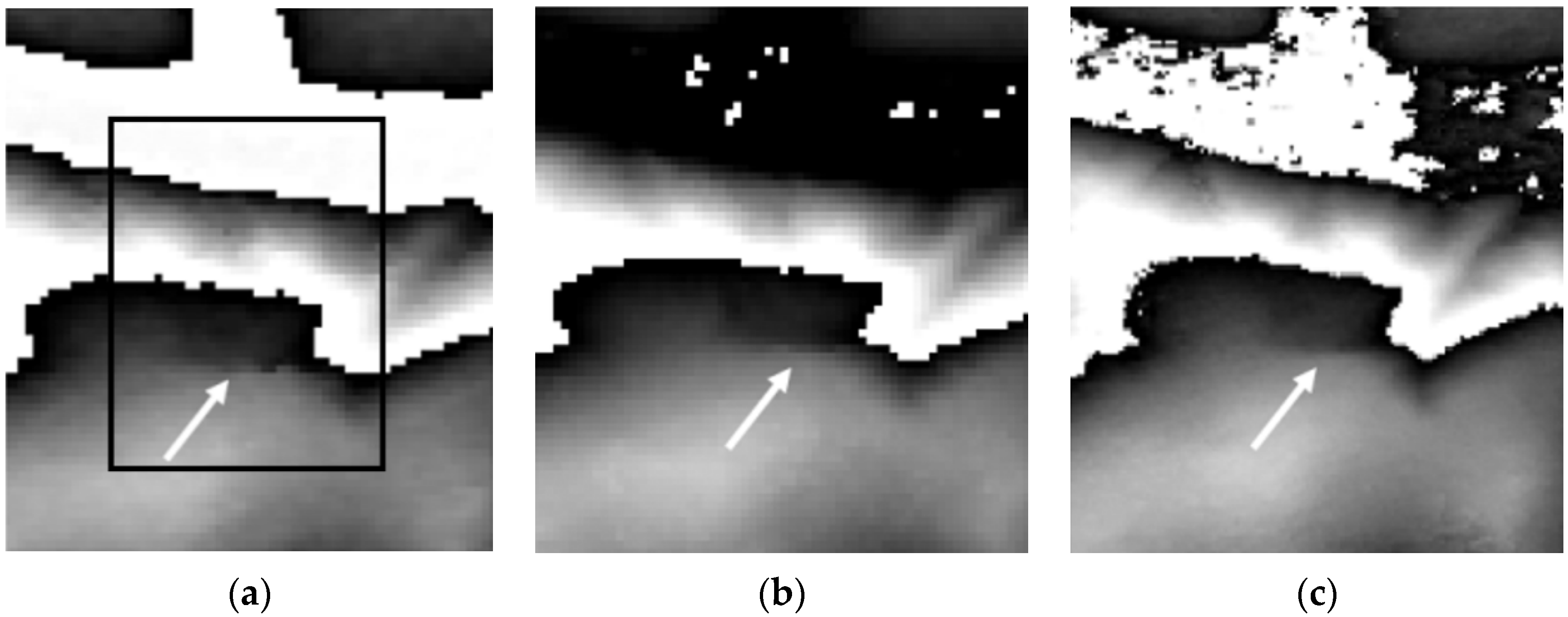 Remotesensing 14 05218 g013