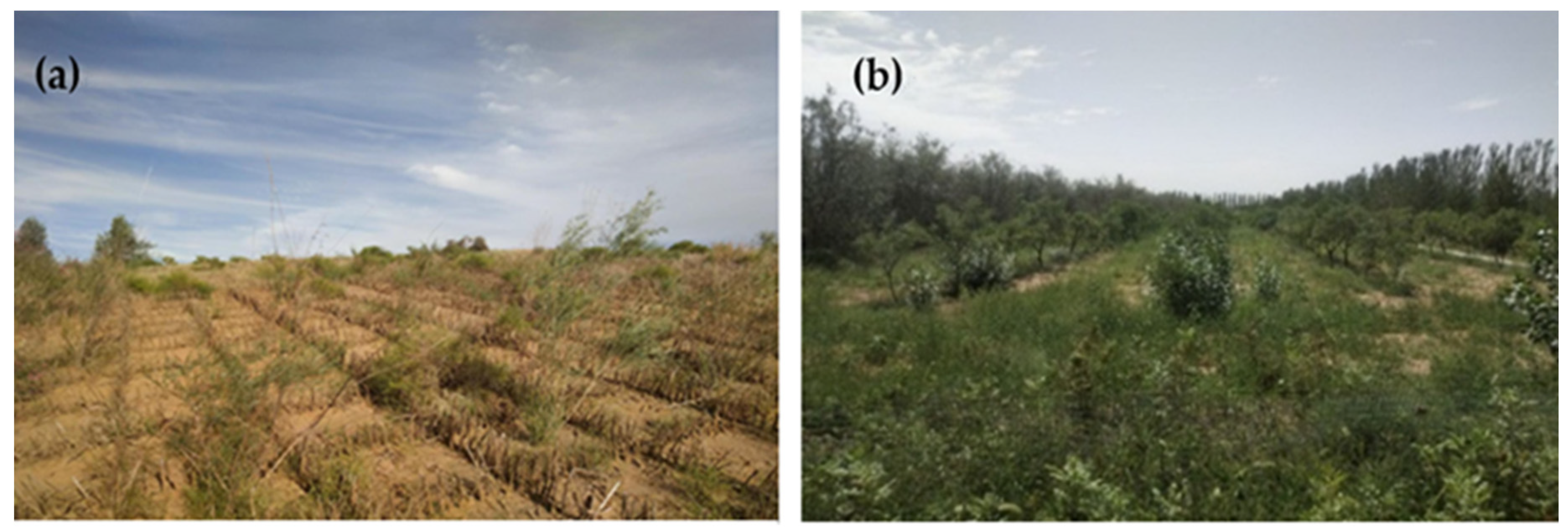 Remotesensing 14 05243 g012 Remotesensing 14 05243 g012