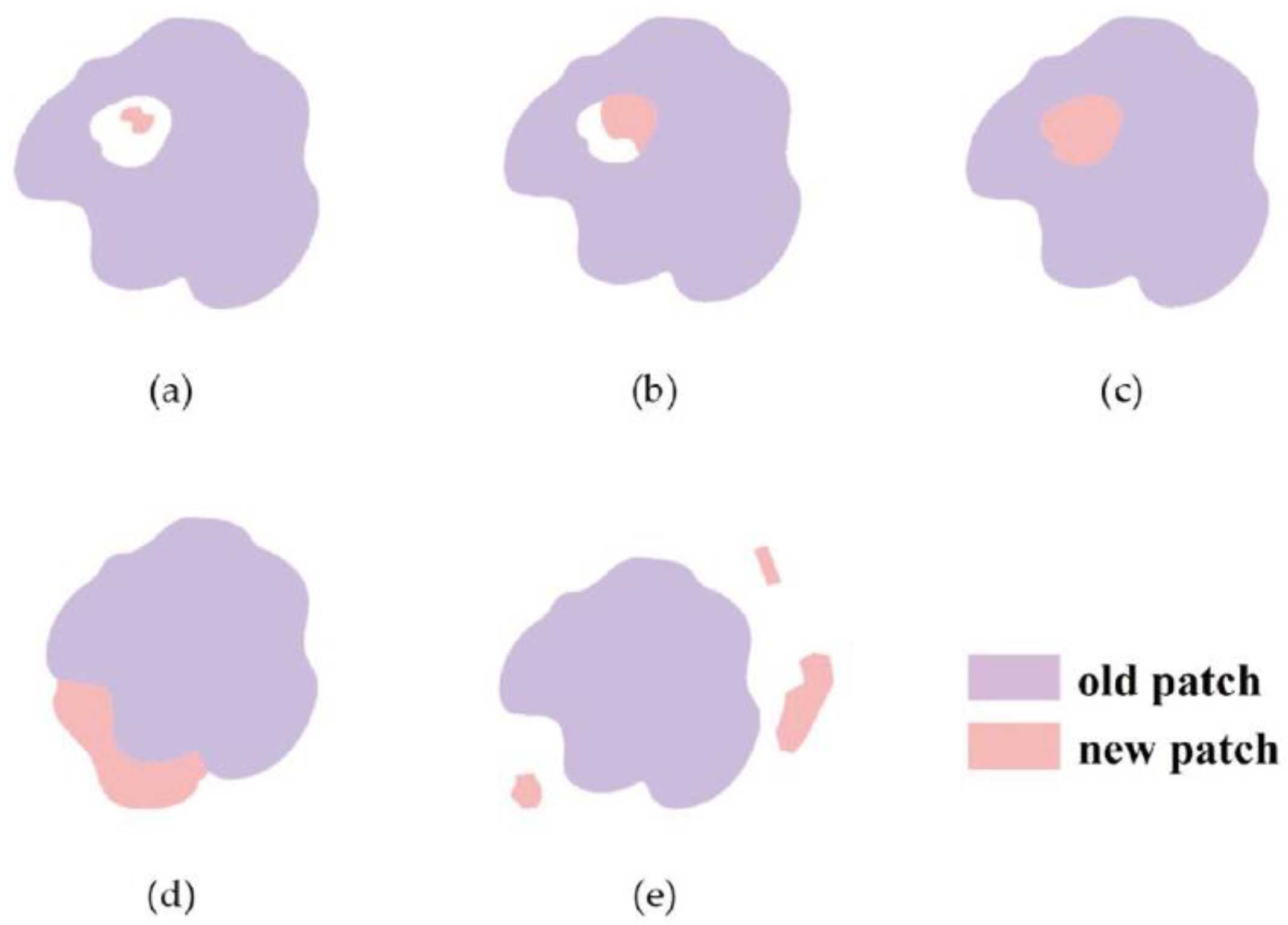 Remotesensing 14 05255 g001 Remotesensing 14 05255 g001