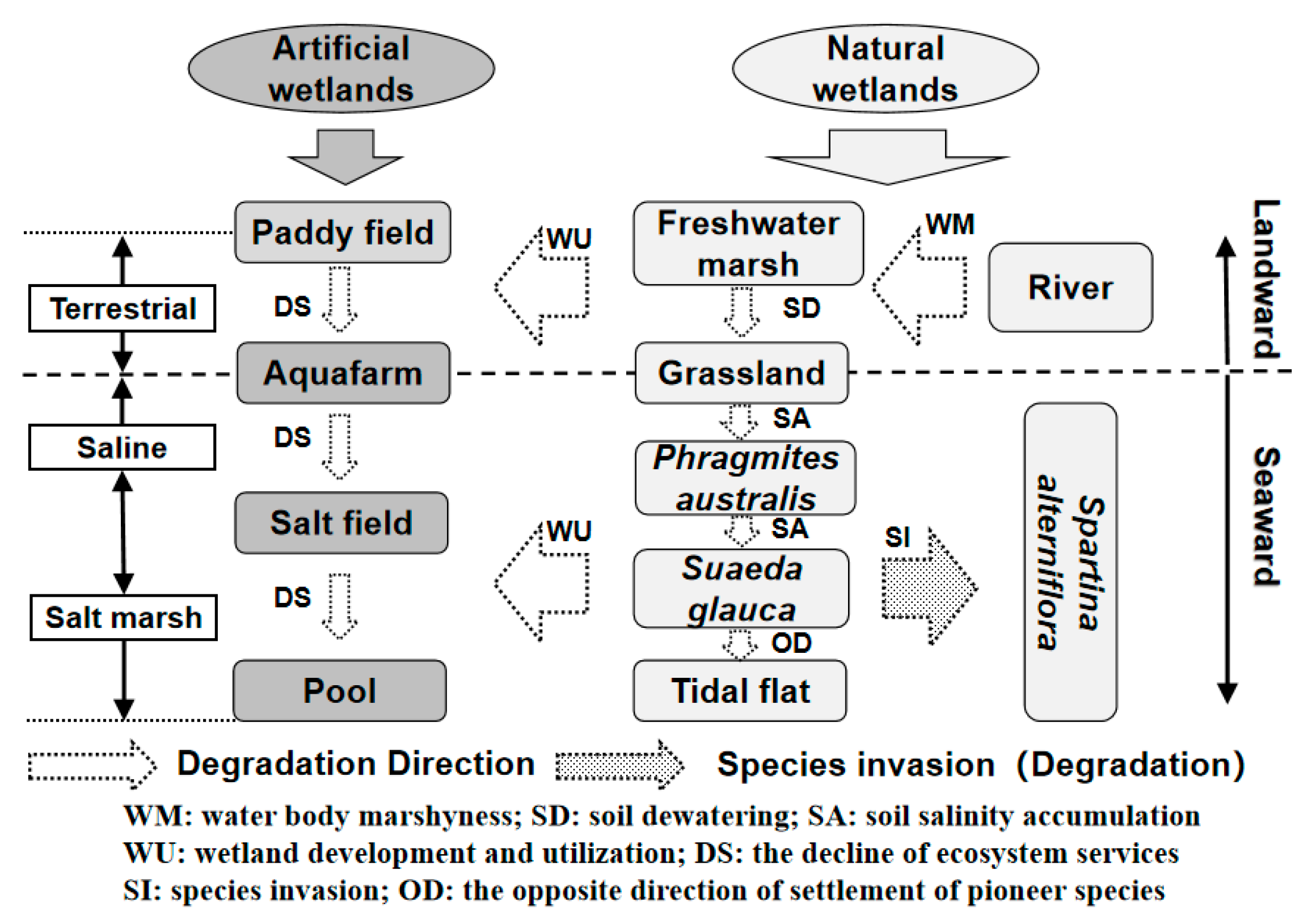 Remotesensing 14 05273 g002