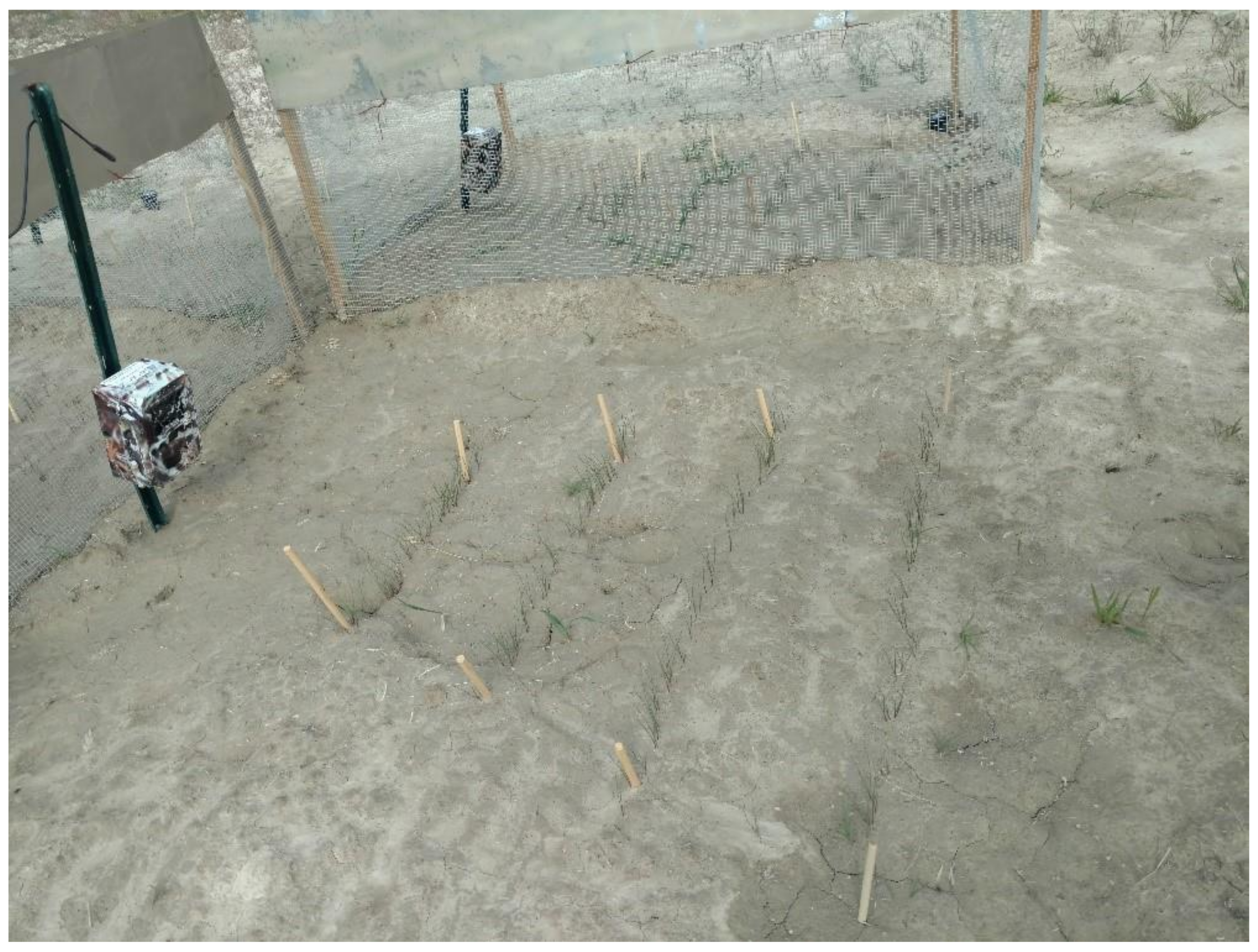 Remotesensing 14 05365 g001