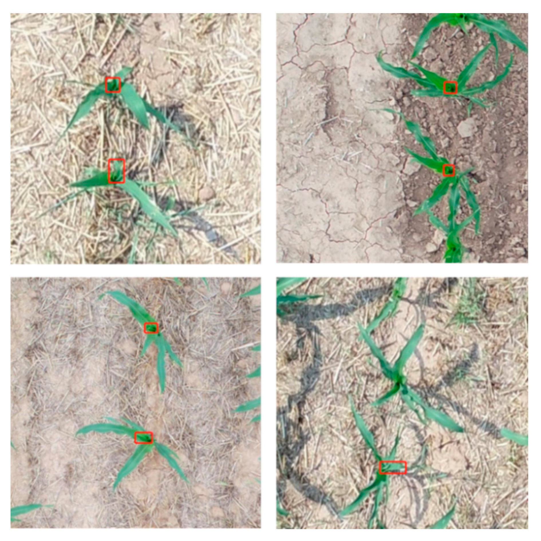 Remotesensing 14 05388 g001