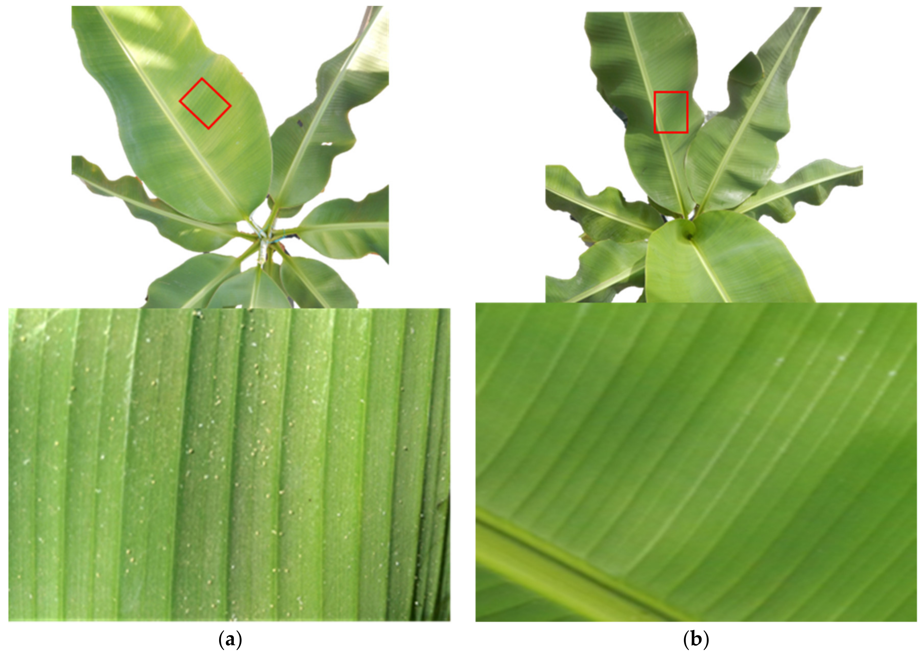 Remotesensing 14 05467 g001 Remotesensing 14 05467 g001