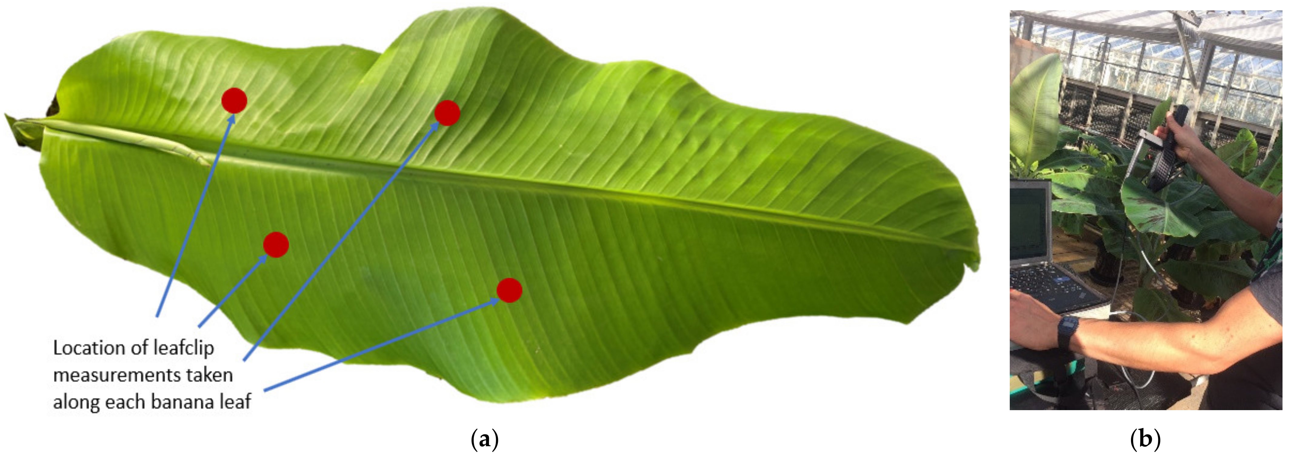 Remotesensing 14 05467 g002 Remotesensing 14 05467 g002