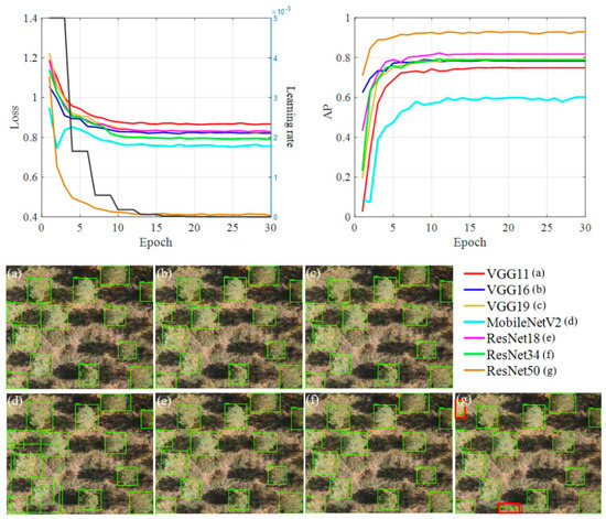 Individual Tree Detection in Coal Mine Afforestation Area Based on ...