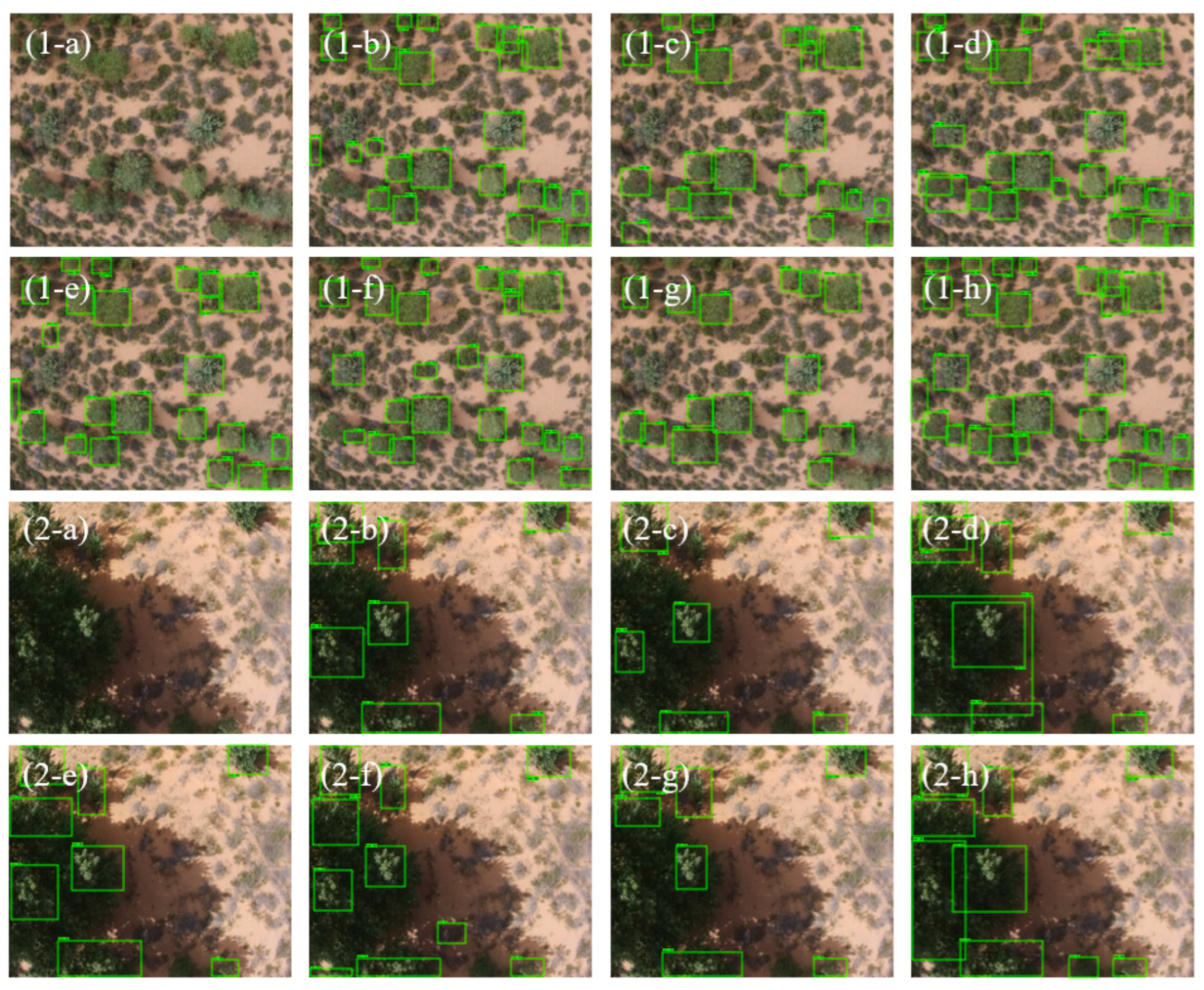 Remotesensing 14 05545 g006 Remotesensing 14 05545 g006