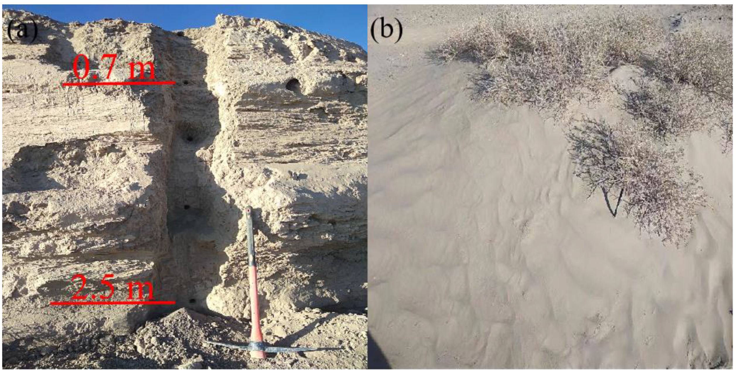 Suoyang effects? Real results!
