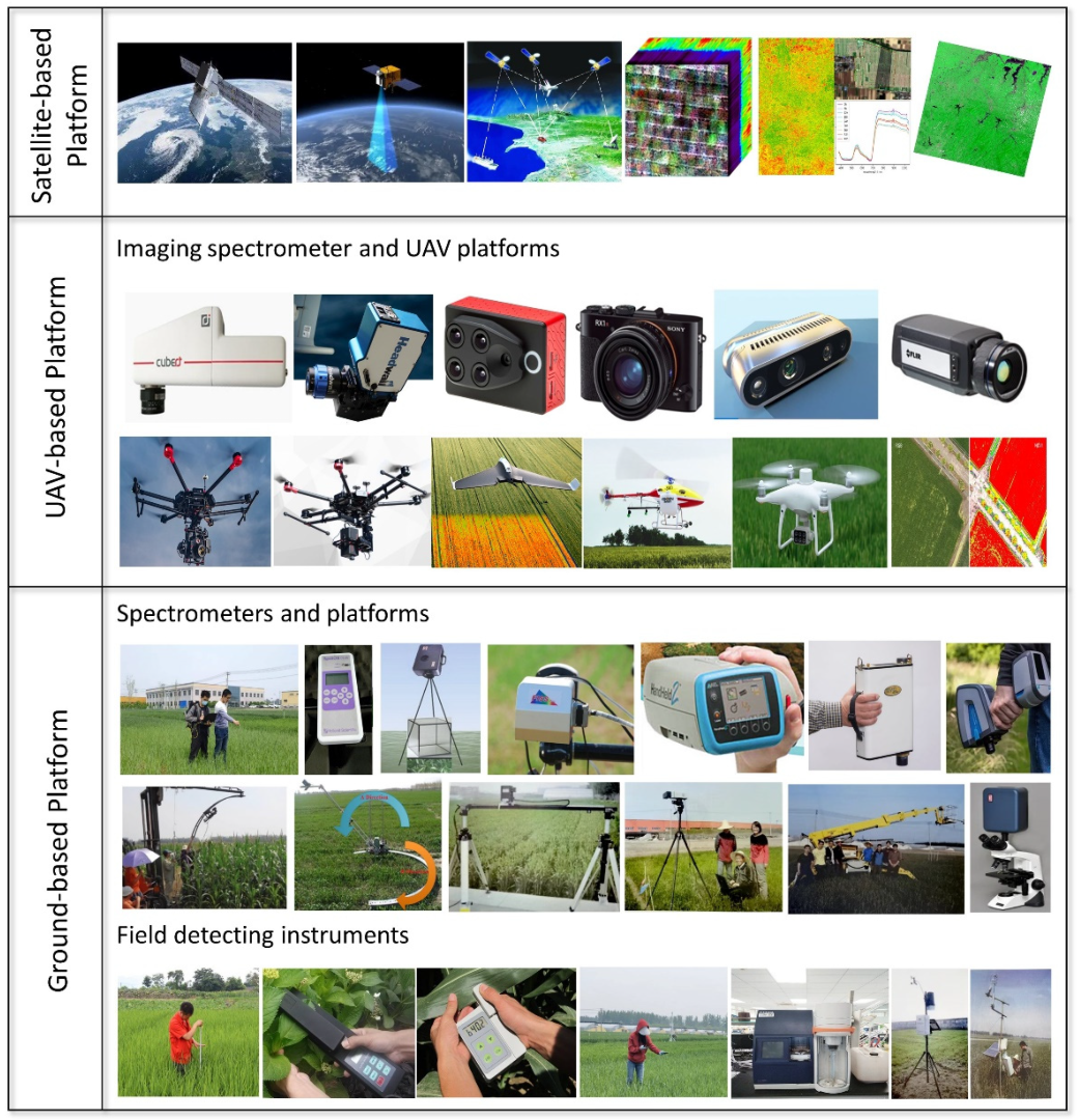 Remotesensing 14 05712 g003