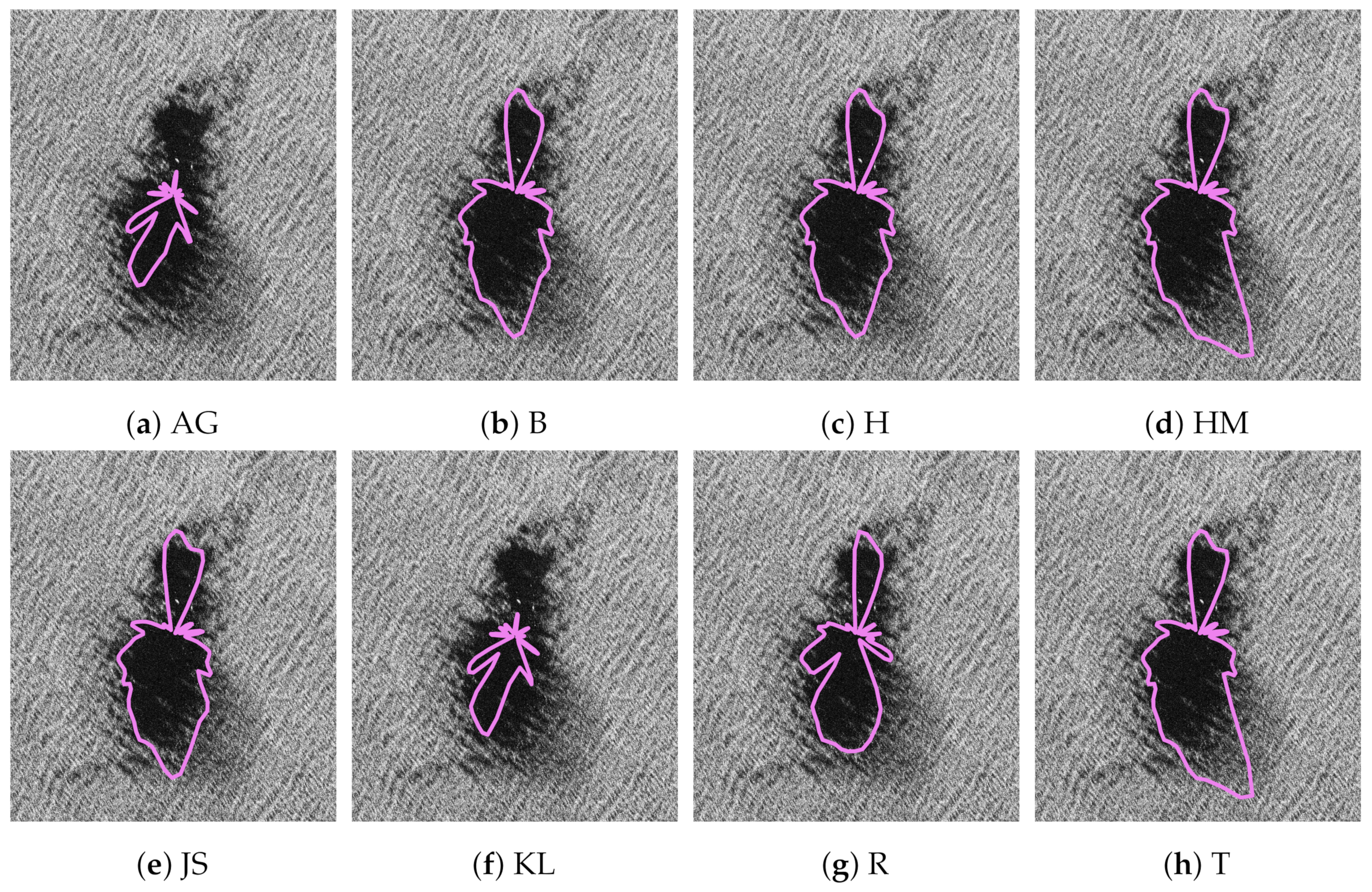 Remotesensing 14 05716 g012