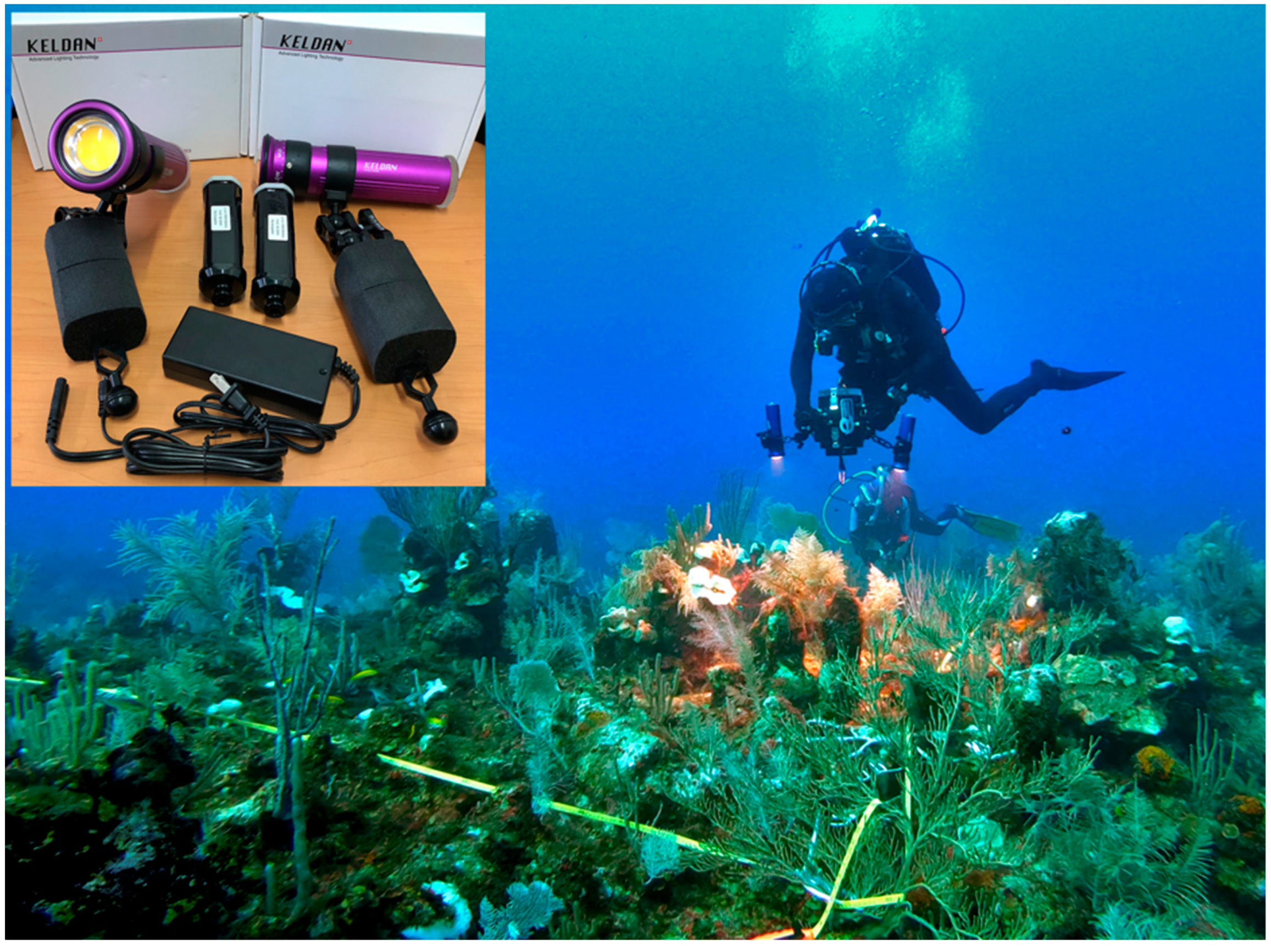 Remotesensing 14 05782 g003 Remotesensing 14 05782 g003