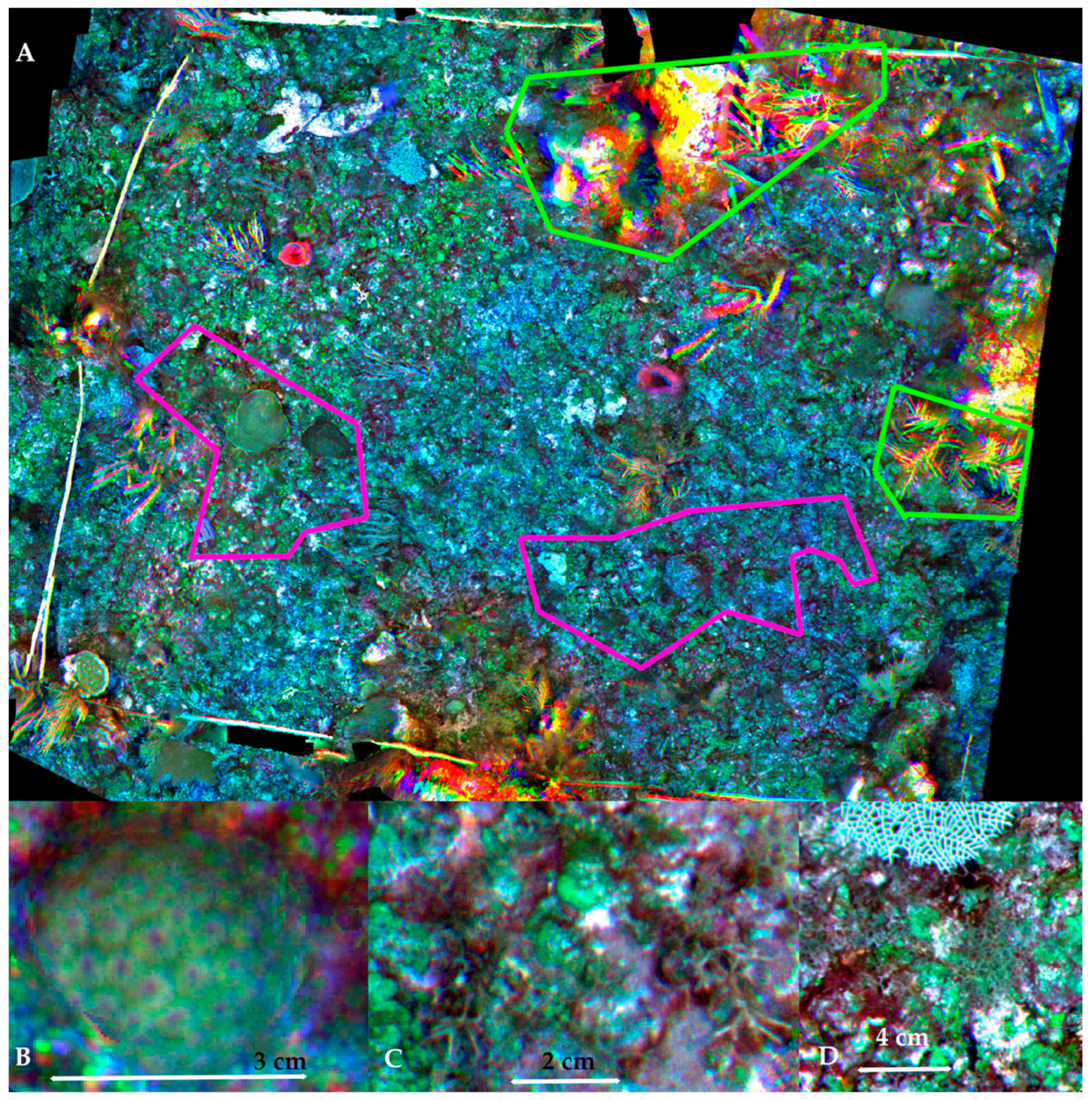 Remotesensing 14 05782 g006 Remotesensing 14 05782 g006