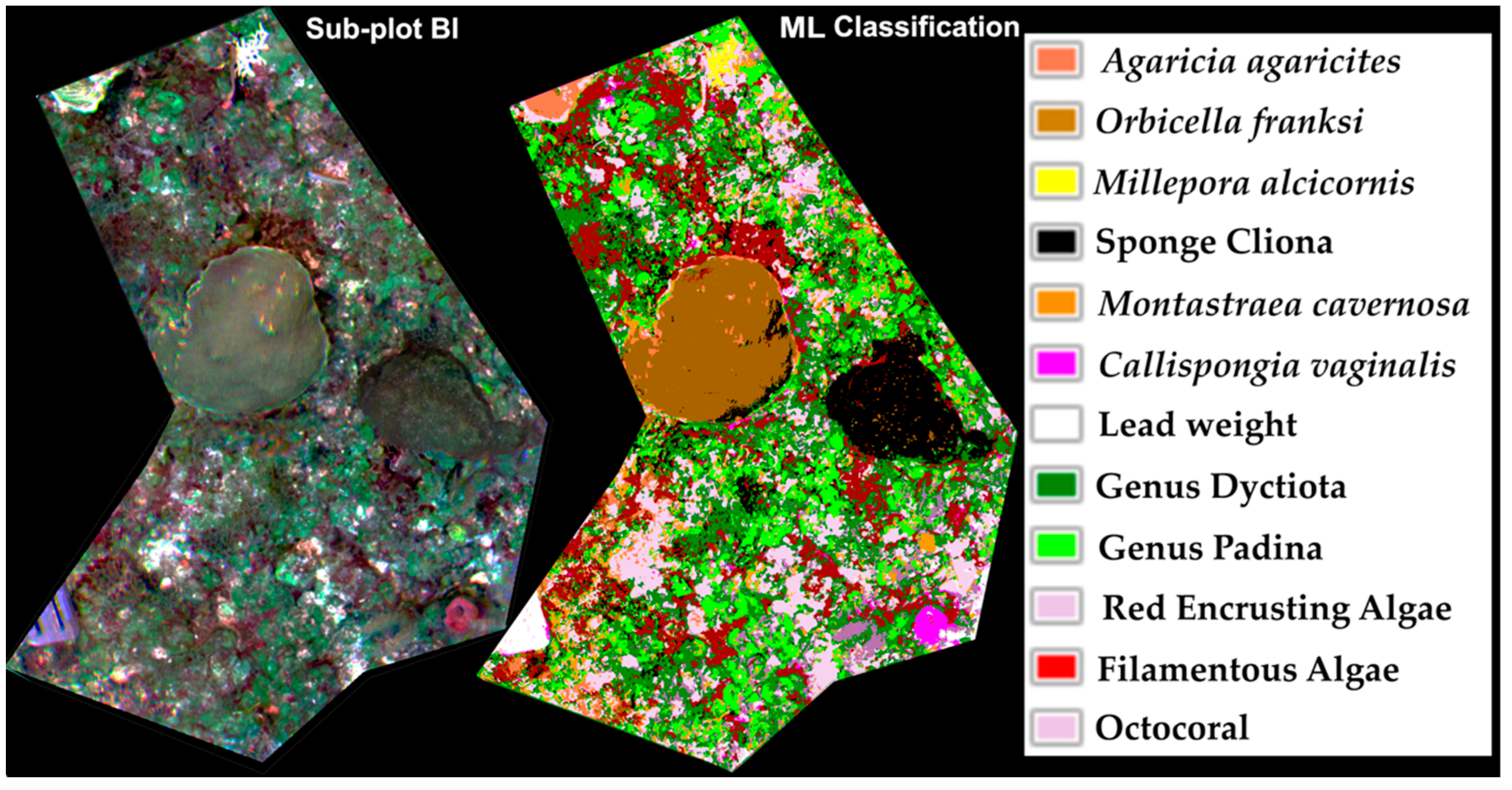 Remotesensing 14 05782 g007 Remotesensing 14 05782 g007