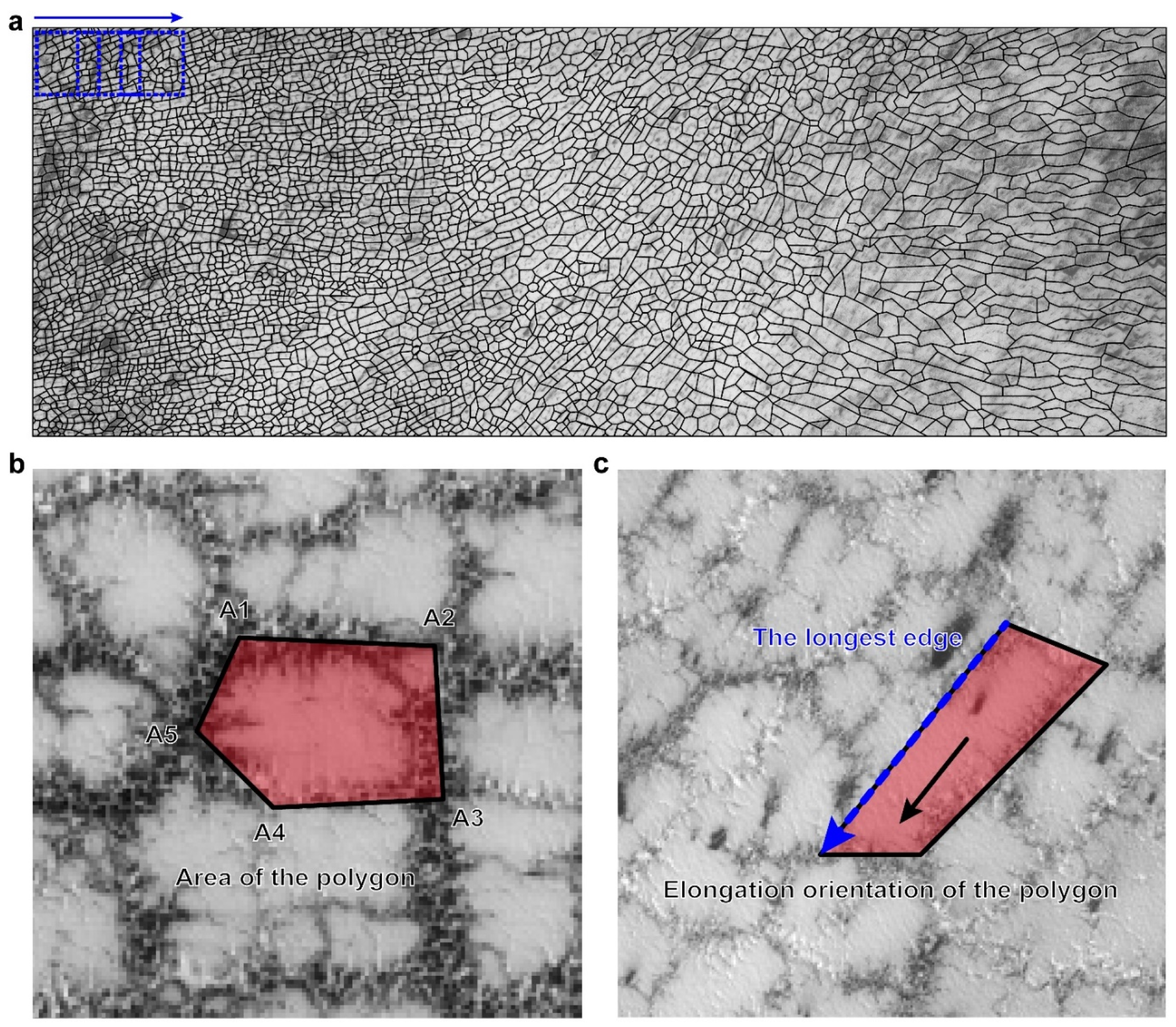 Remotesensing 14 05789 g002