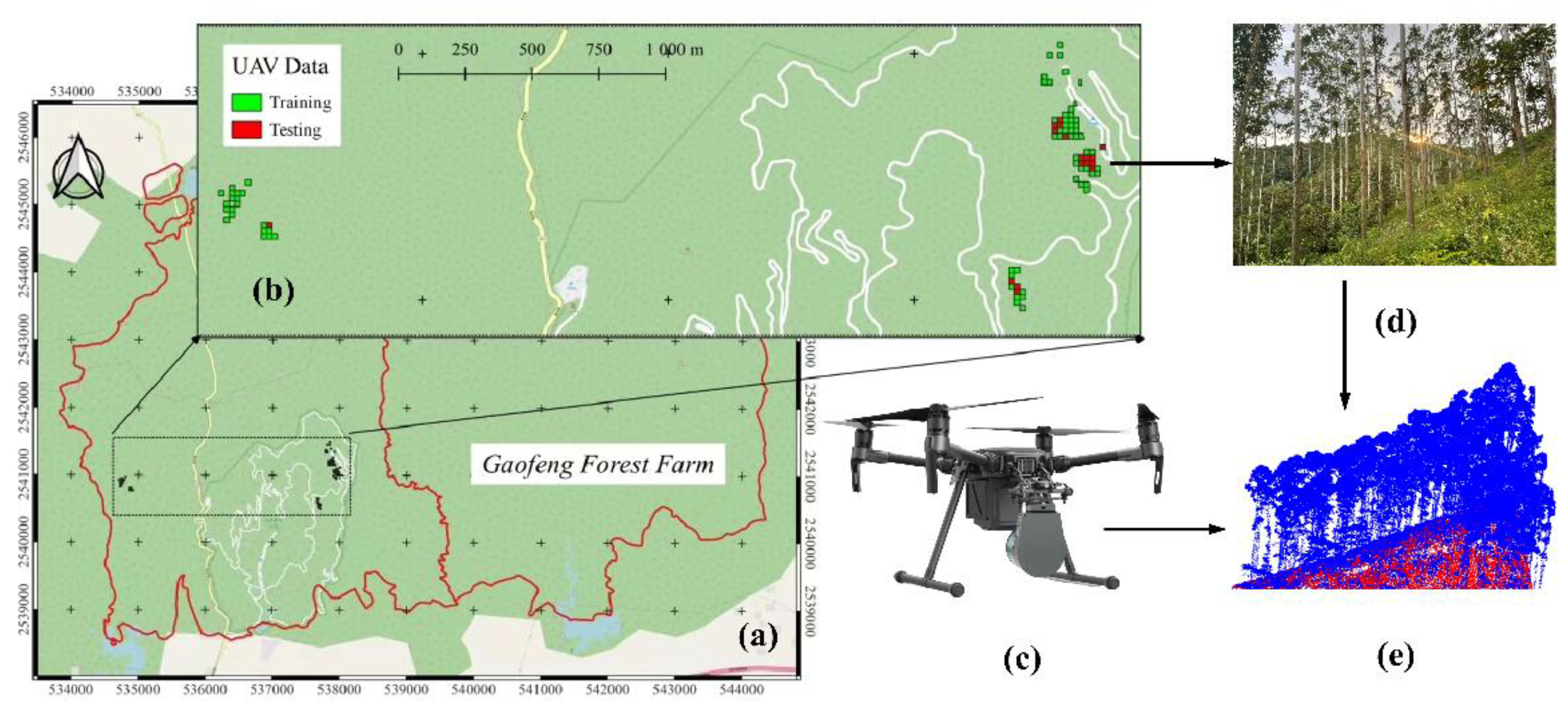 Remotesensing 14 05798 g001