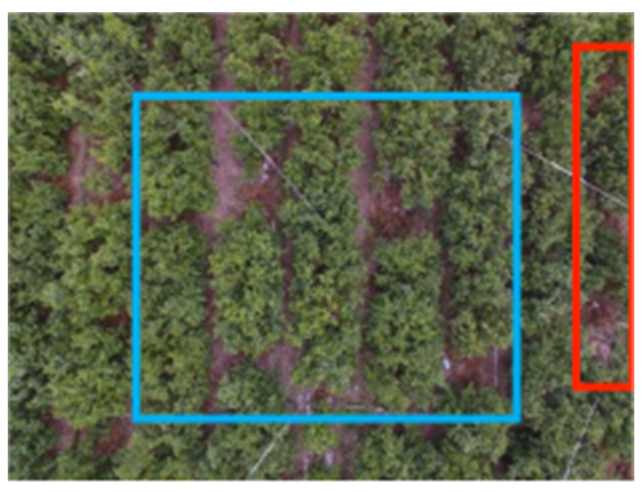 Remotesensing 14 05806 g011 Remotesensing 14 05806 g011