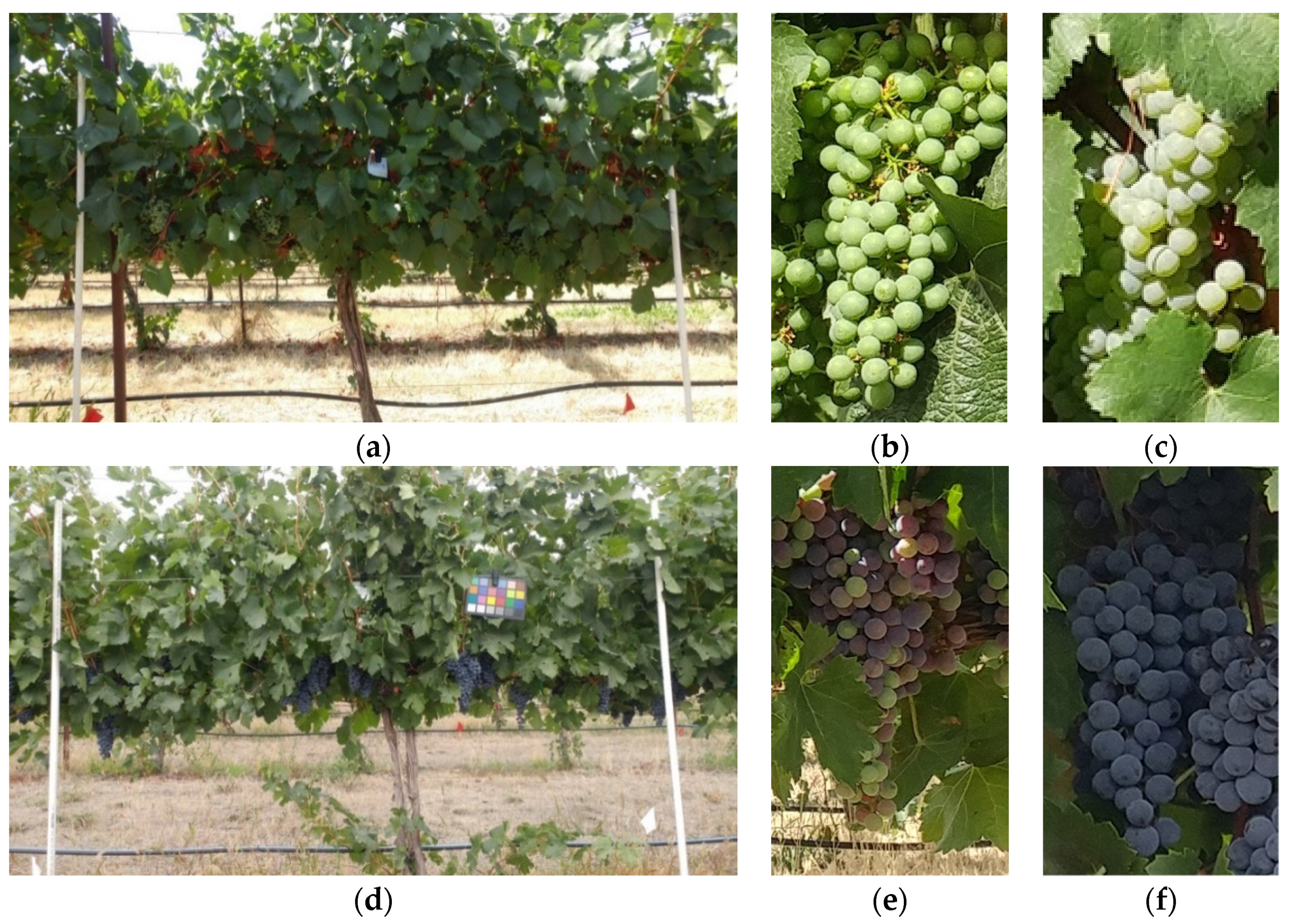 Remotesensing 14 05853 g001