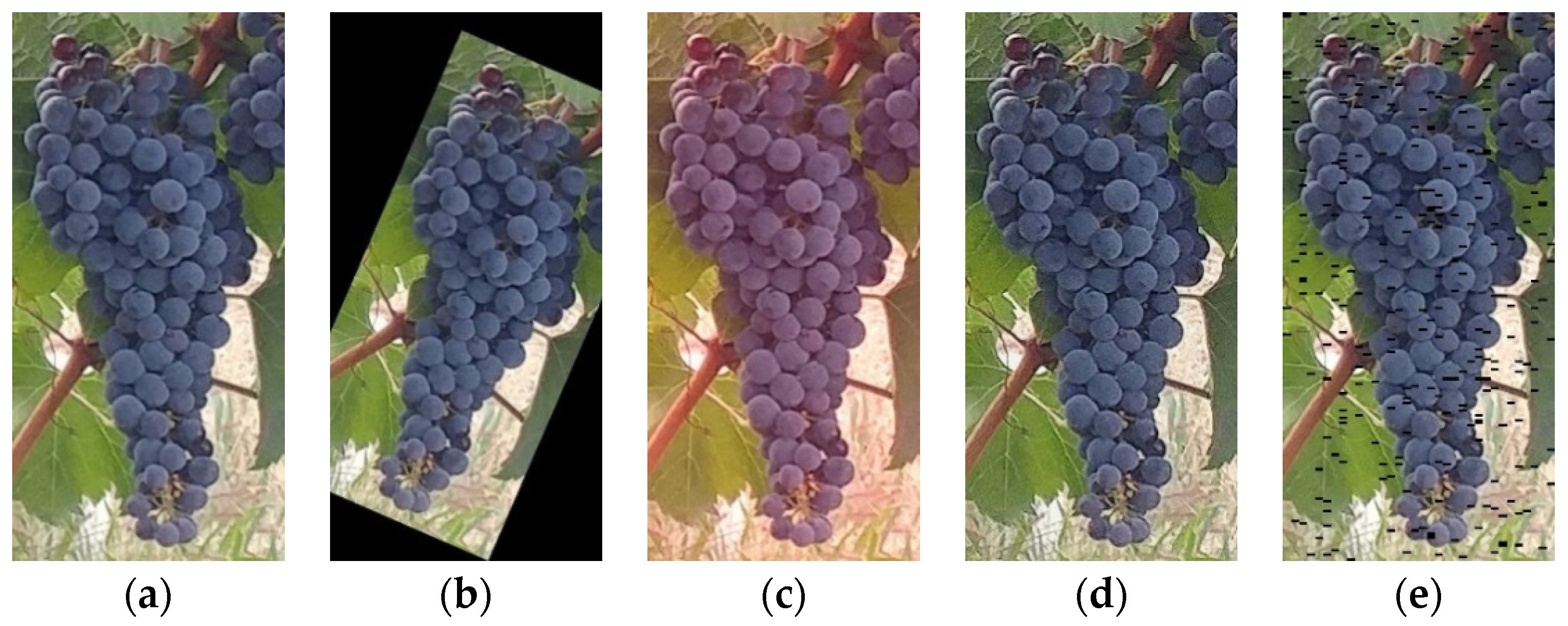 Remotesensing 14 05853 g002