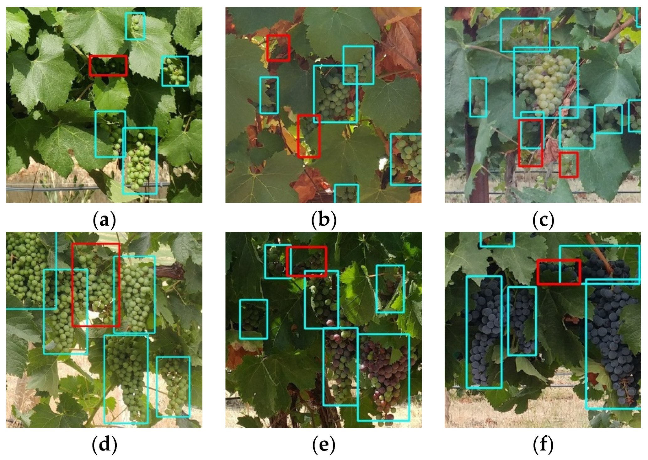 Remotesensing 14 05853 g010