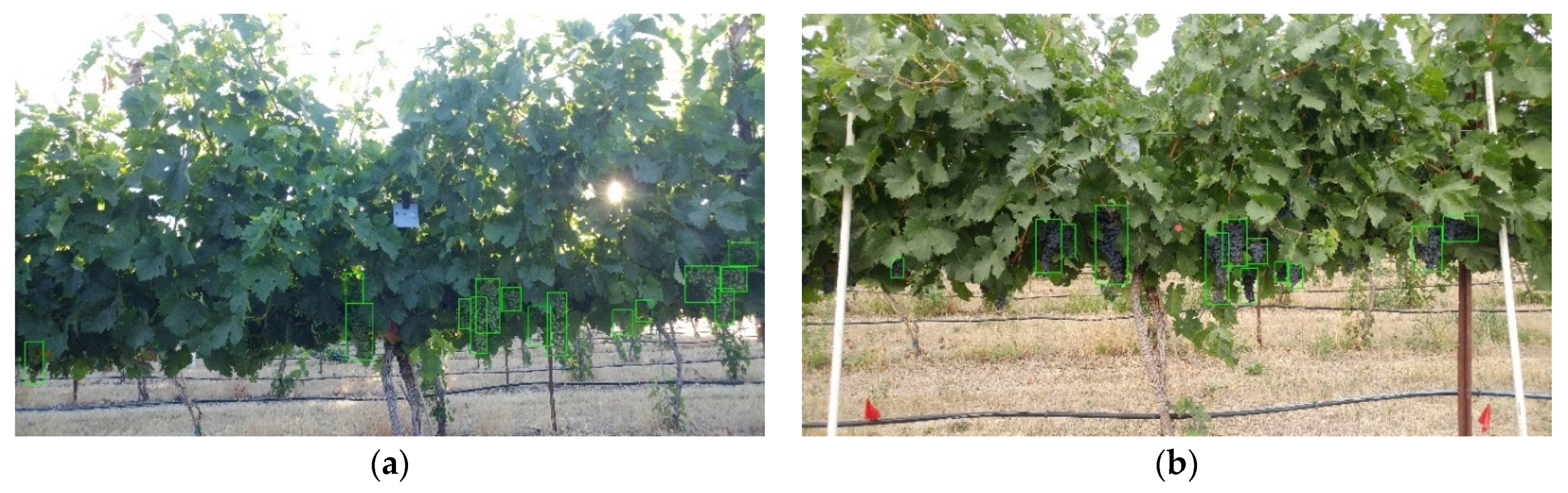 Remotesensing 14 05853 g0a4a