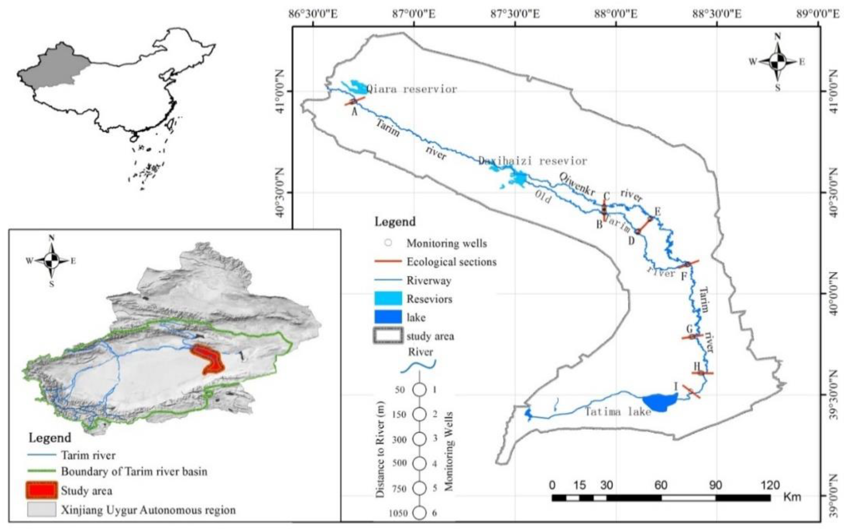 Multiscale Detection and Assessment of Vegetation Eco