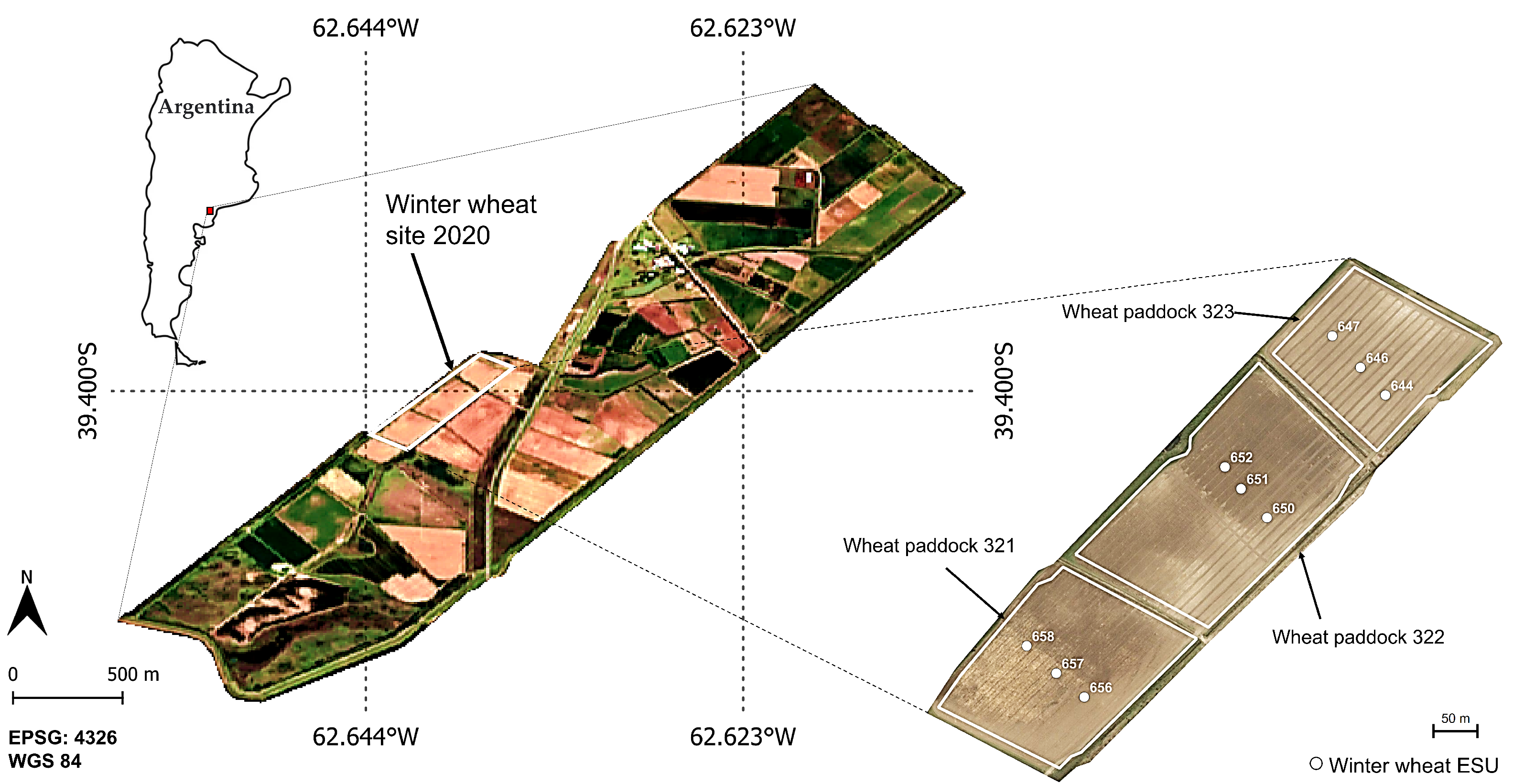 Remote Sensing | Free Full-Text | Quantifying Irrigated Winter Wheat LAI in  Argentina Using Multiple Sentinel-1 Incidence Angles