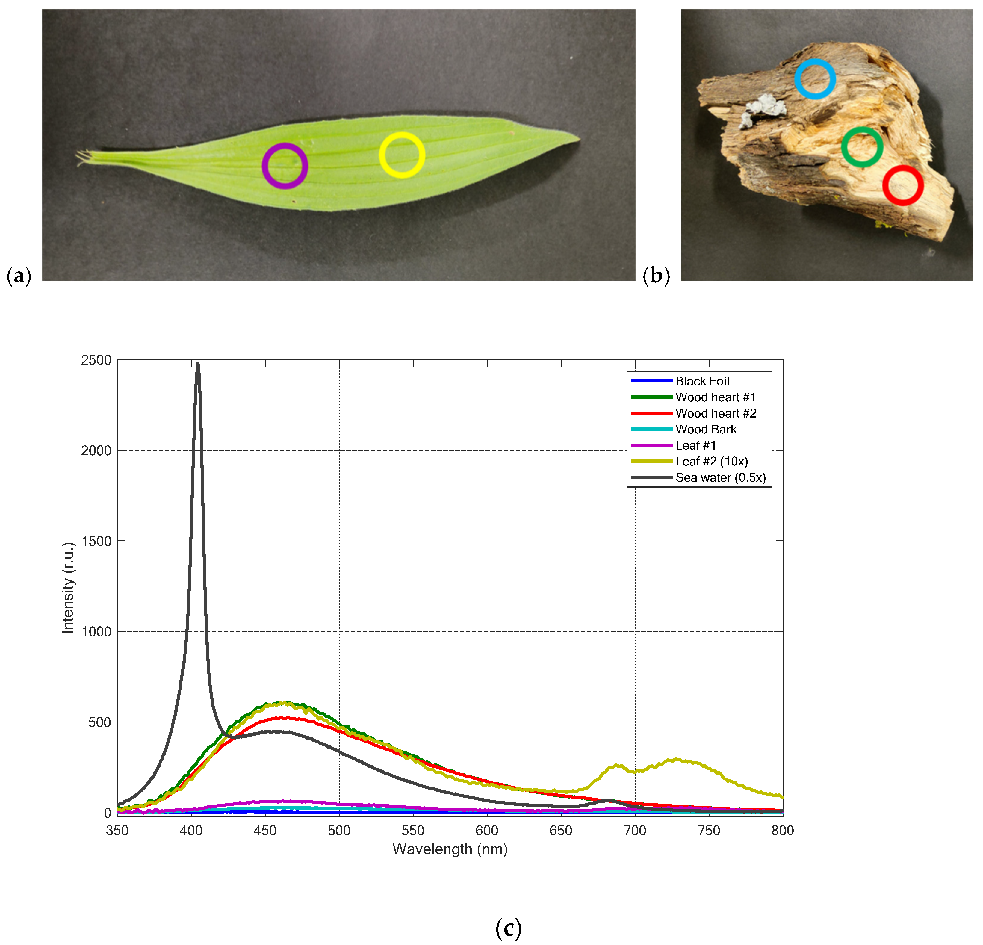 Remotesensing 14 05914 g007