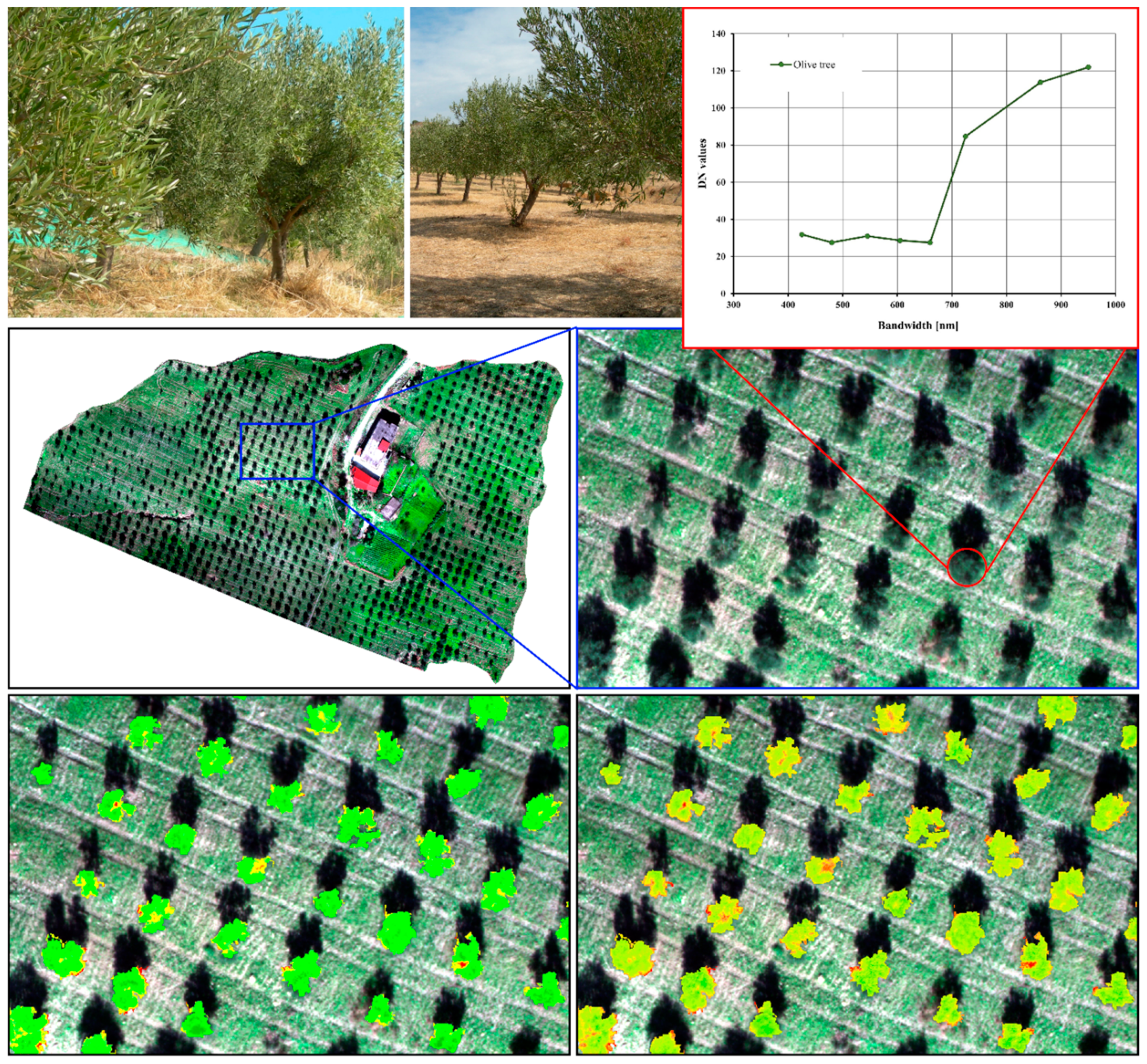 Remotesensing 14 05951 g004 Remotesensing 14 05951 g004