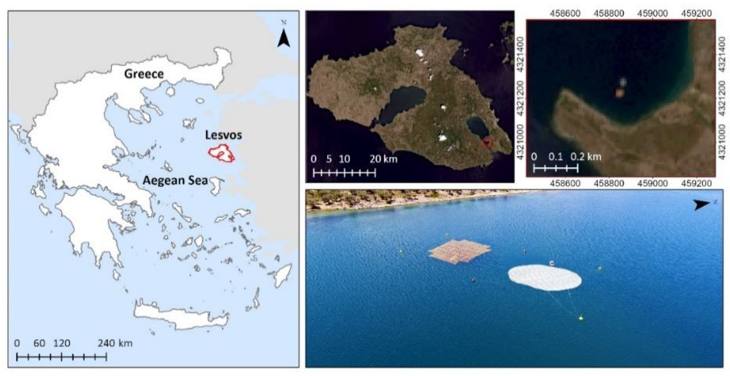 Remotesensing 14 05997 g001 Remotesensing 14 05997 g001