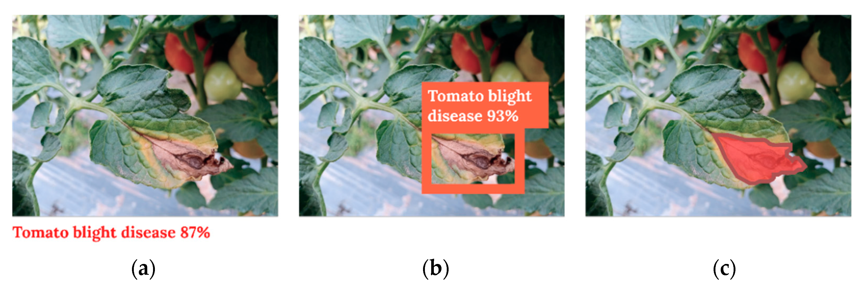 Remotesensing 14 06031 g006 Remotesensing 14 06031 g006