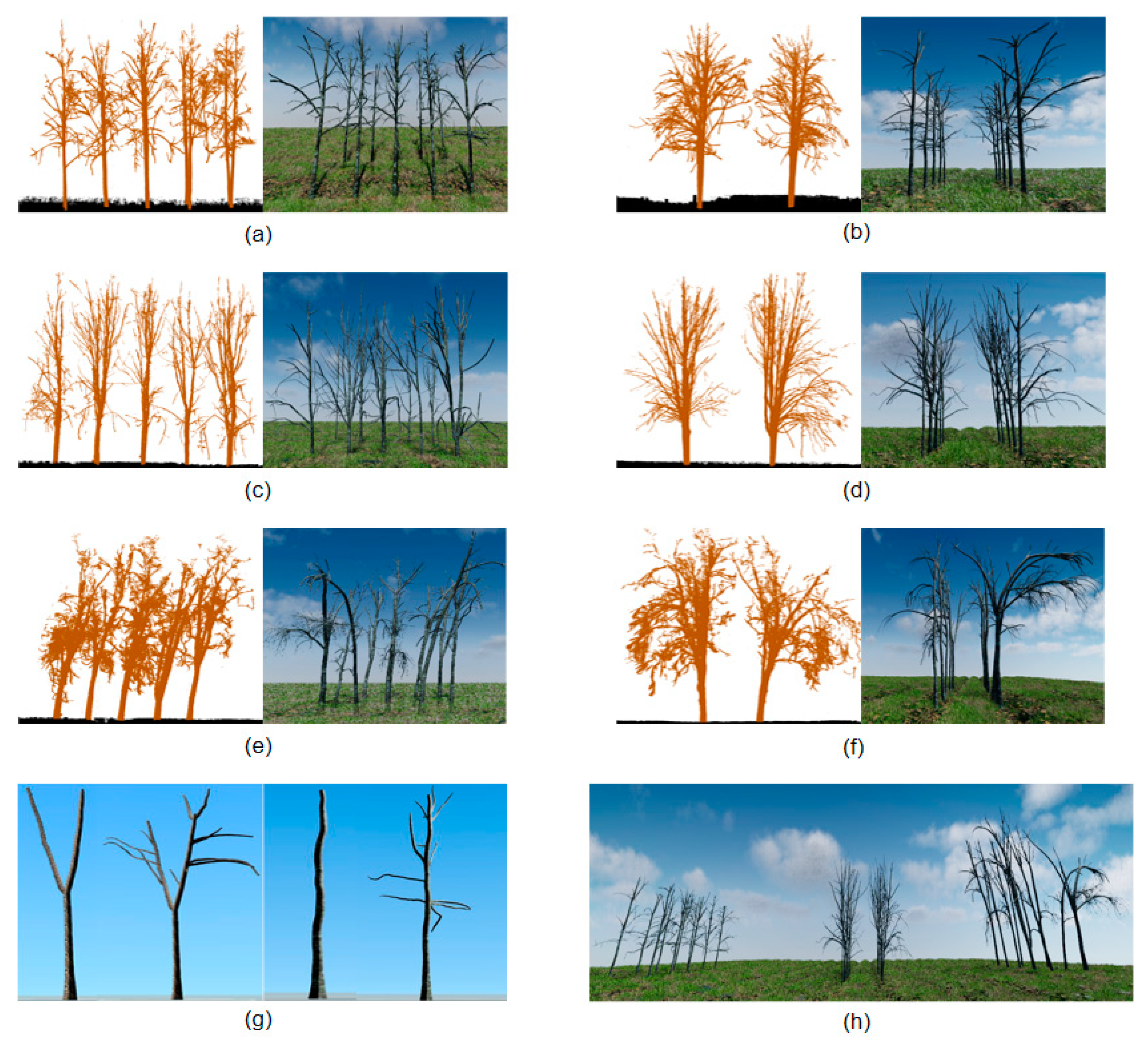 Remotesensing 14 06041 g010