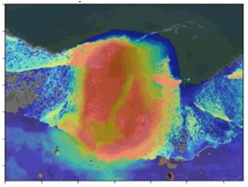 Remotesensing 14 06048 i005 Remotesensing 14 06048 i005