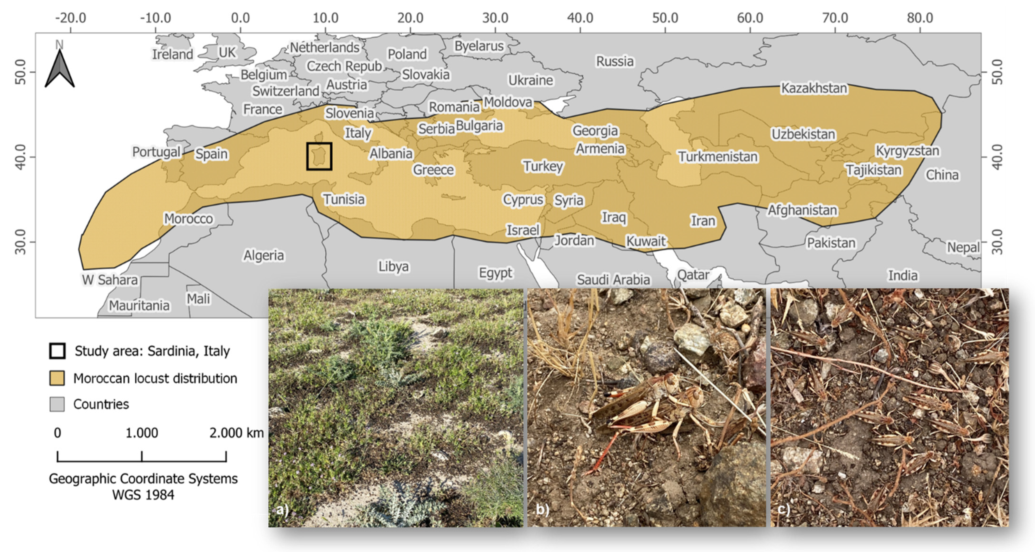 Remotesensing 14 06050 g001 Remotesensing 14 06050 g001