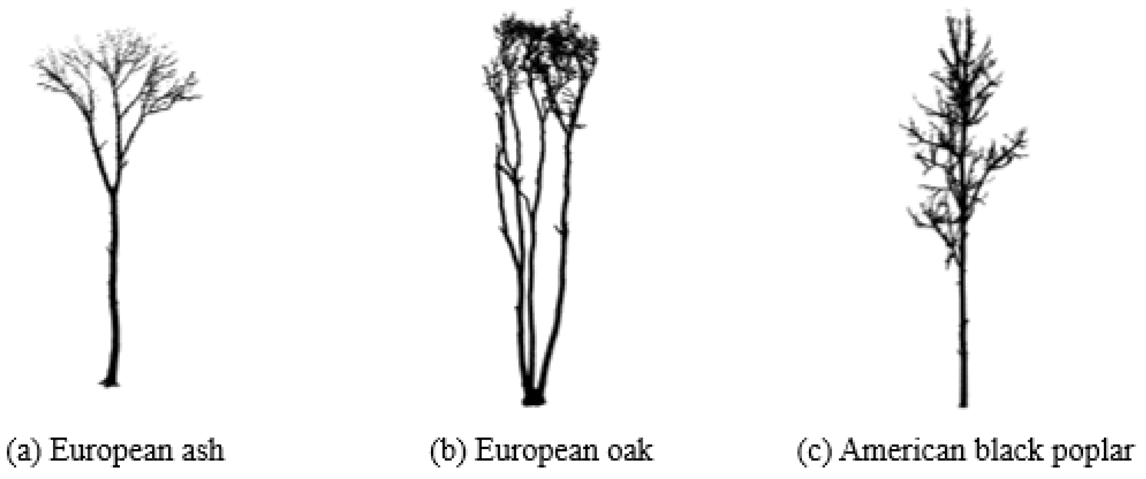 Remotesensing 14 06097 g002