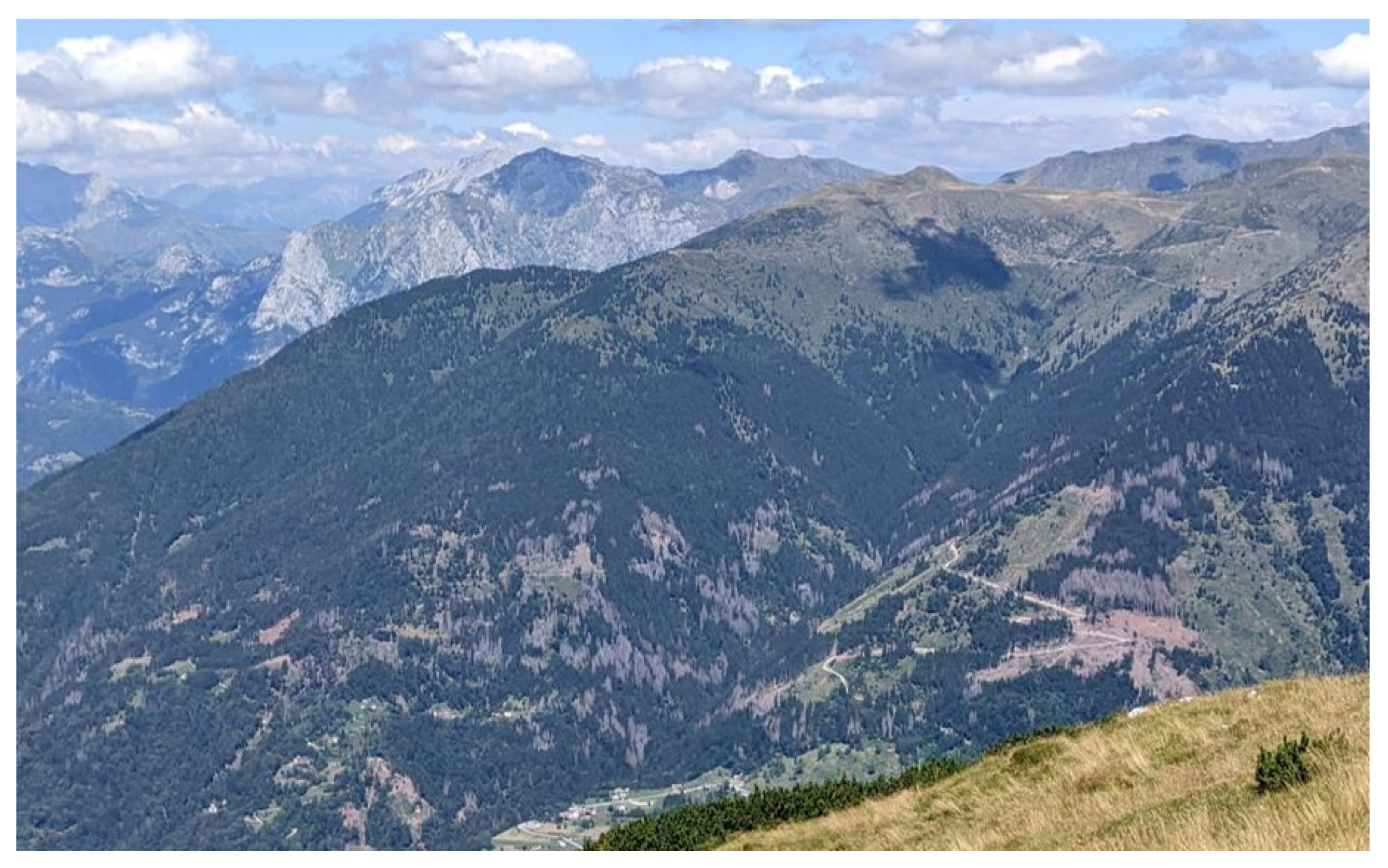 Remotesensing 14 06105 g001