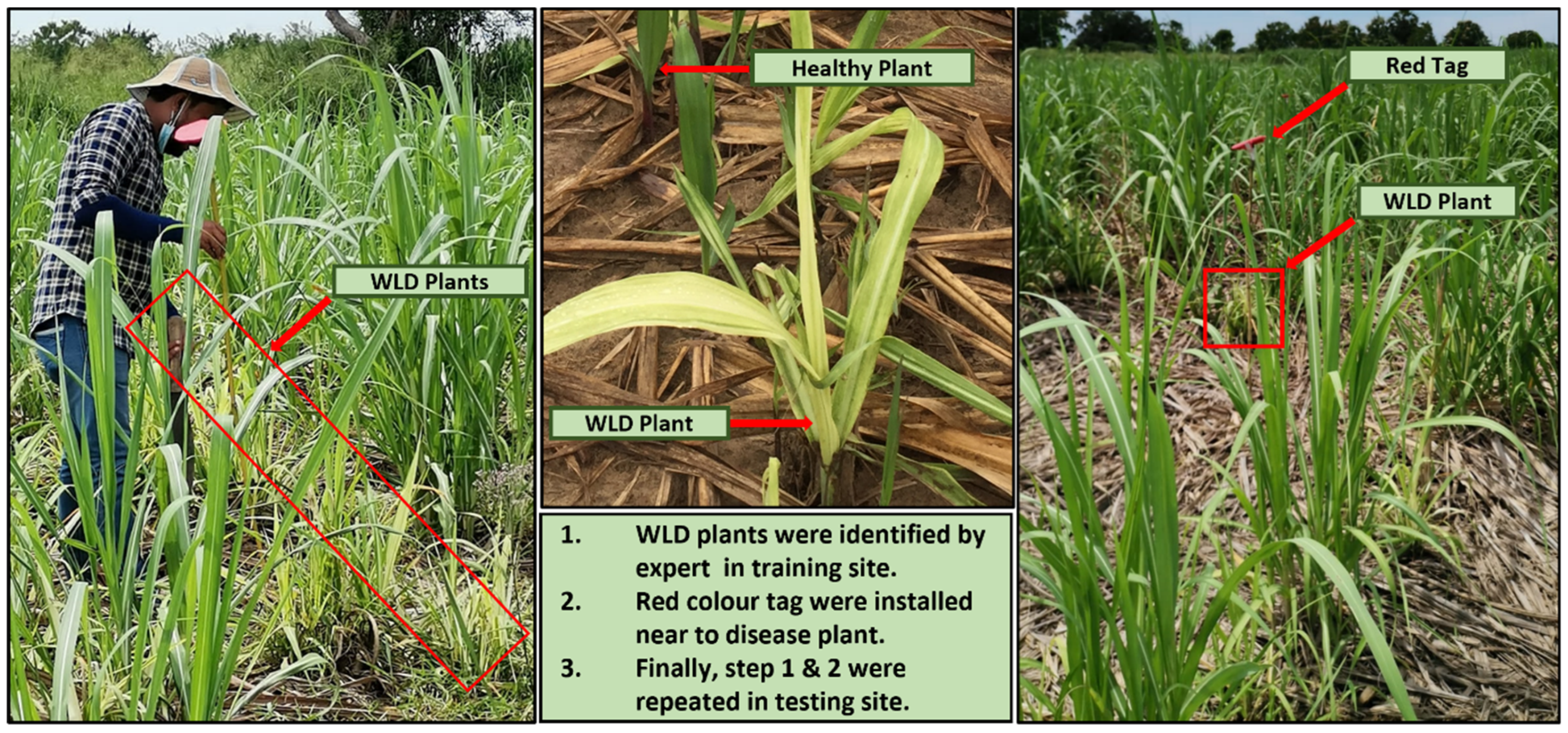 Remotesensing 14 06137 g003 Remotesensing 14 06137 g003