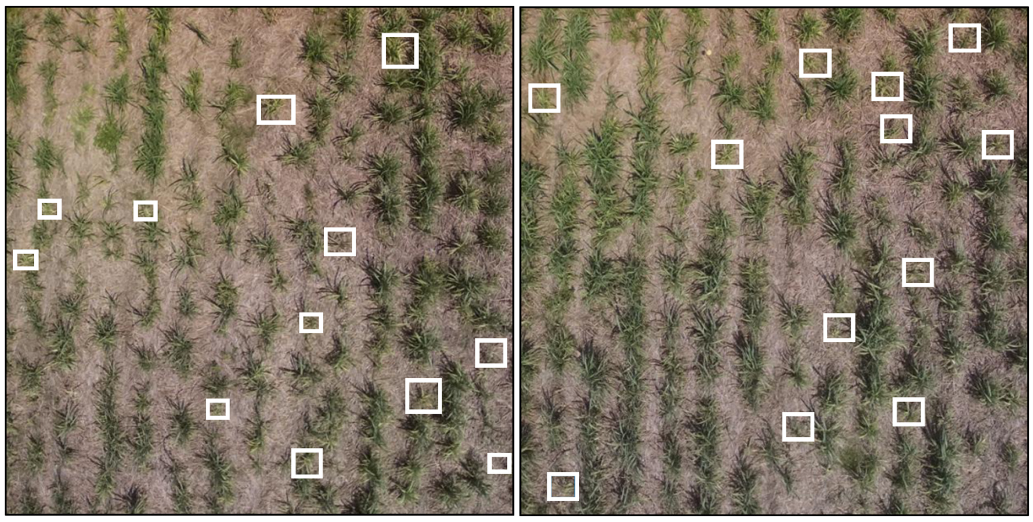 Remotesensing 14 06137 g014 Remotesensing 14 06137 g014