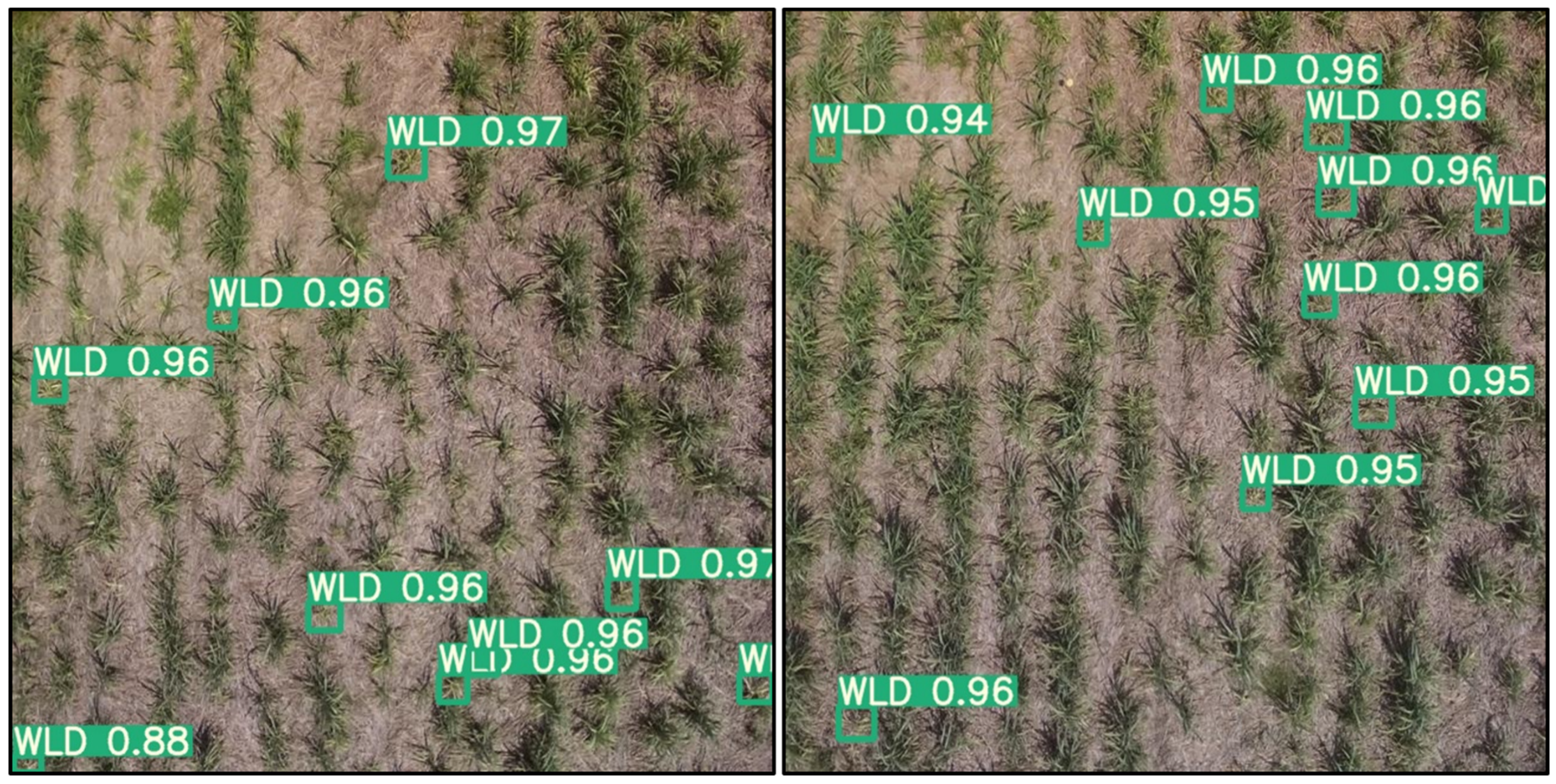 Remotesensing 14 06137 g016 Remotesensing 14 06137 g016