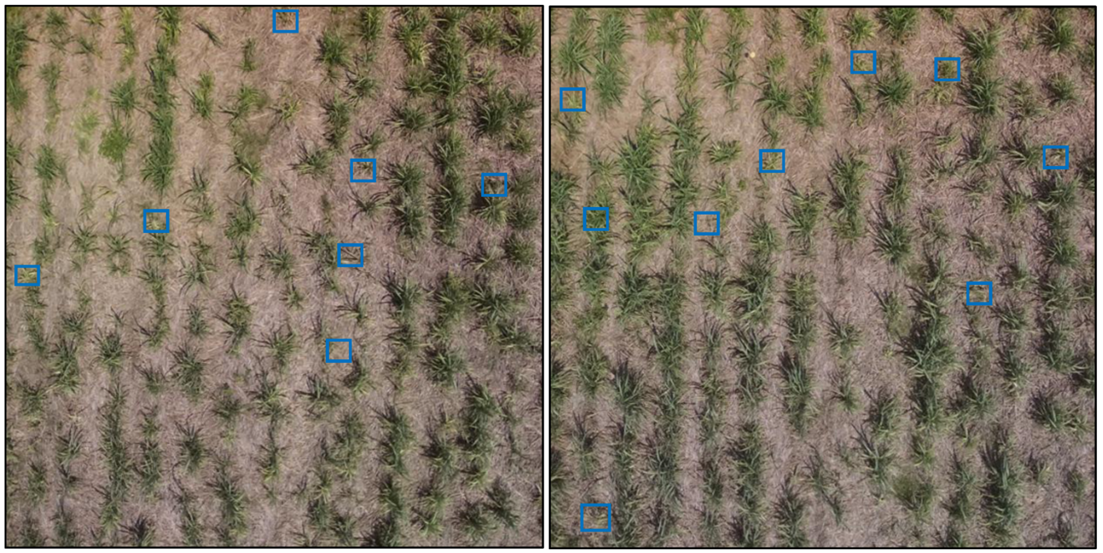 Remotesensing 14 06137 g017 Remotesensing 14 06137 g017